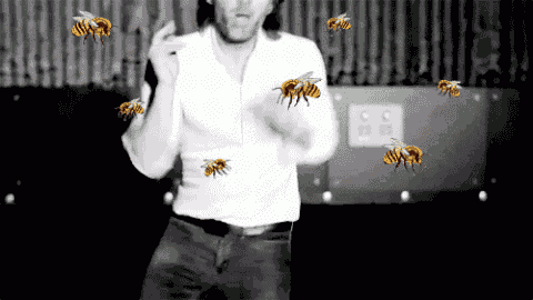 giphy-2.gif