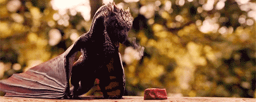 tumblr_prstgt6rd11rz36py_500.gif