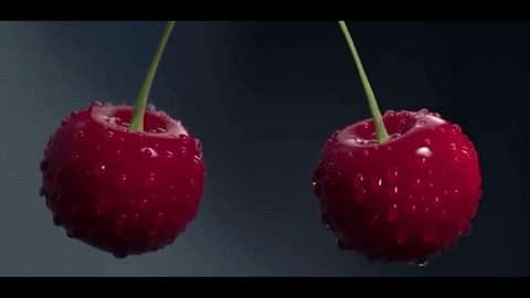 giphy-4.gif