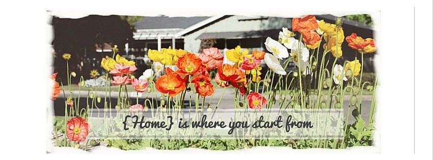 blog banner fb size-1.jpg