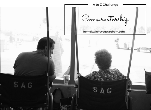 conservatorship-eldercare-homeisblog