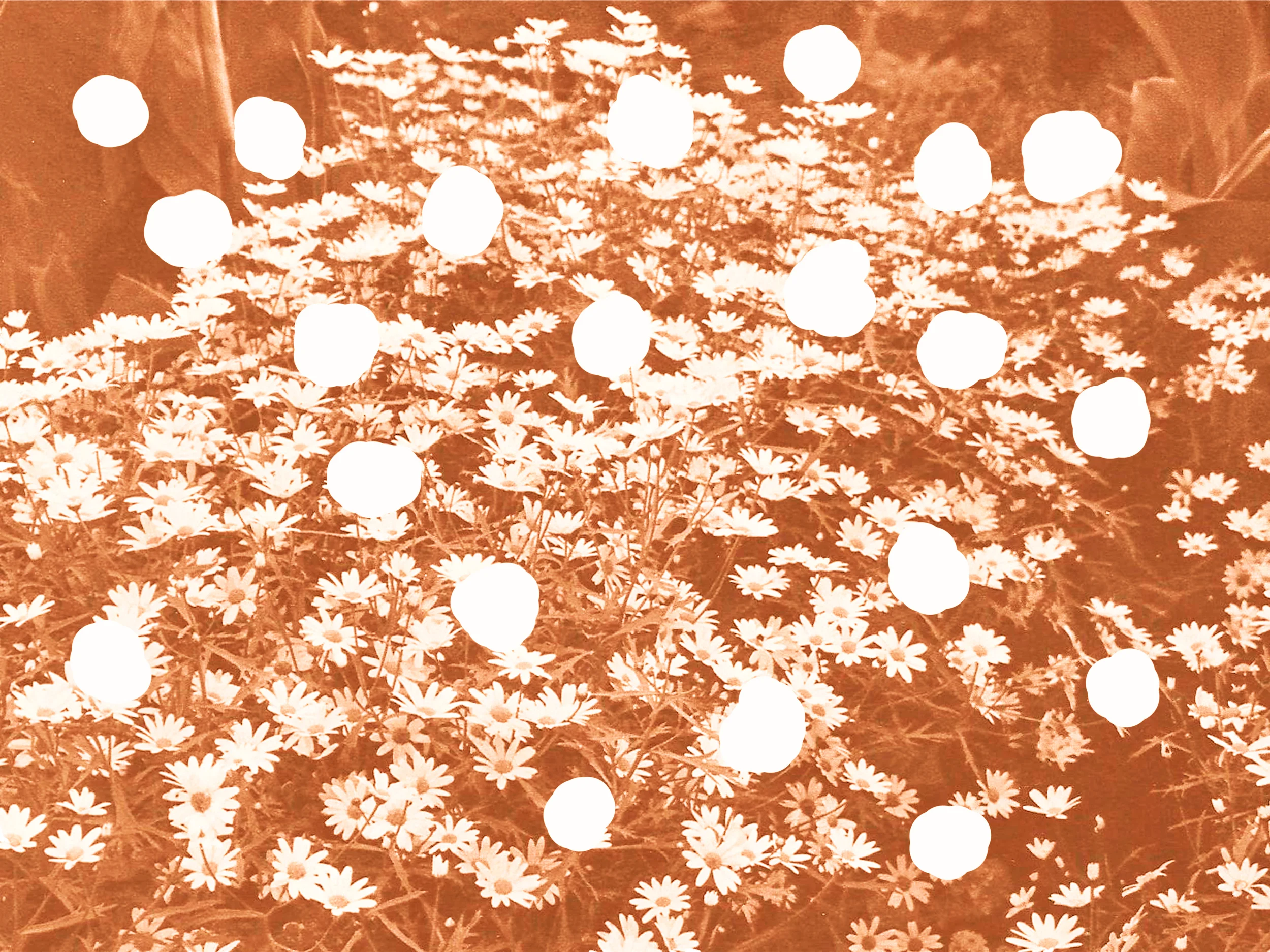 Scan0014.jpg