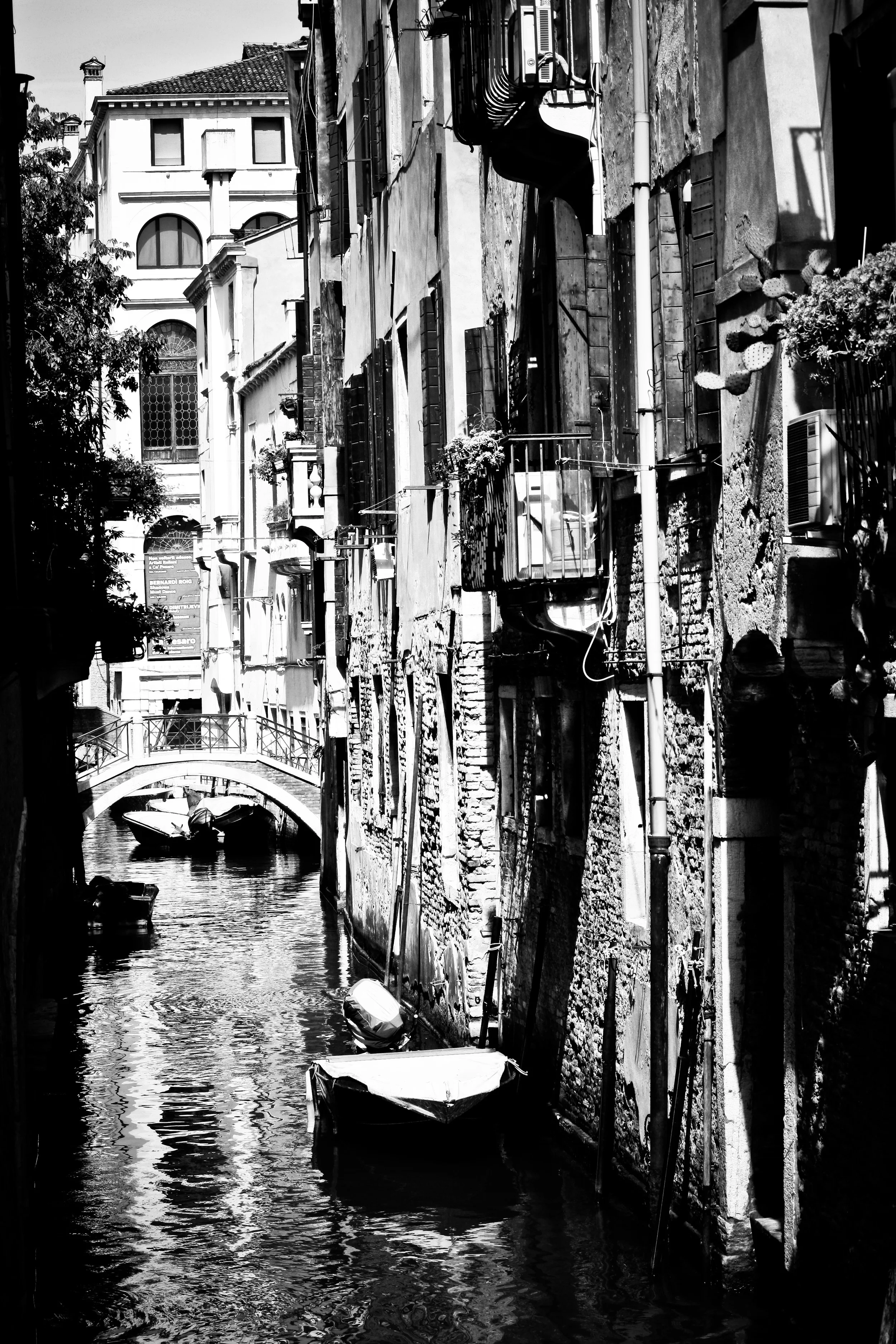 venice-35.jpg