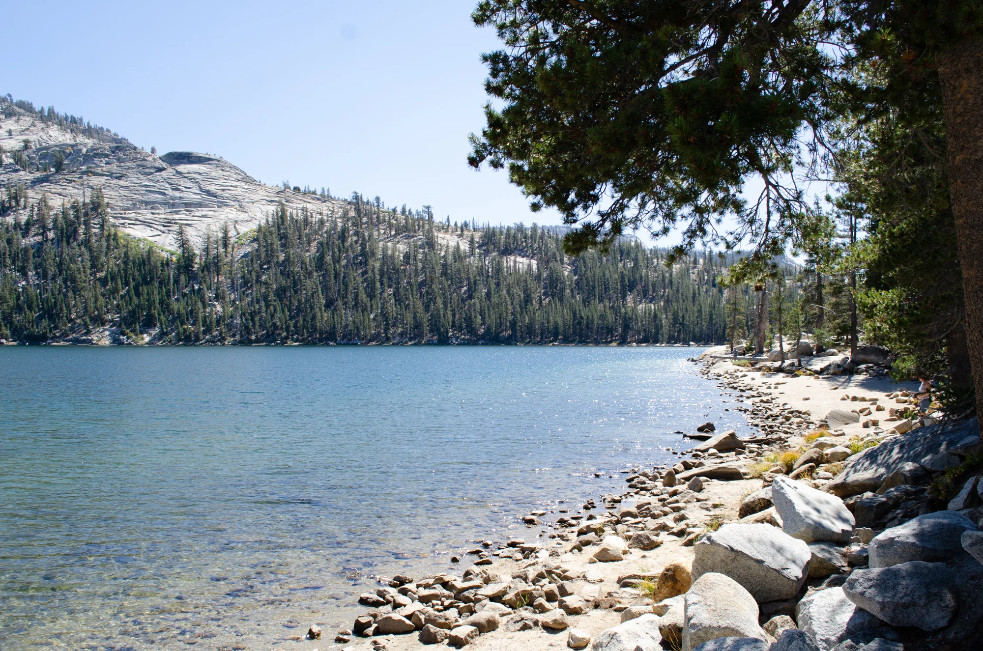 DSC_4373.jpg