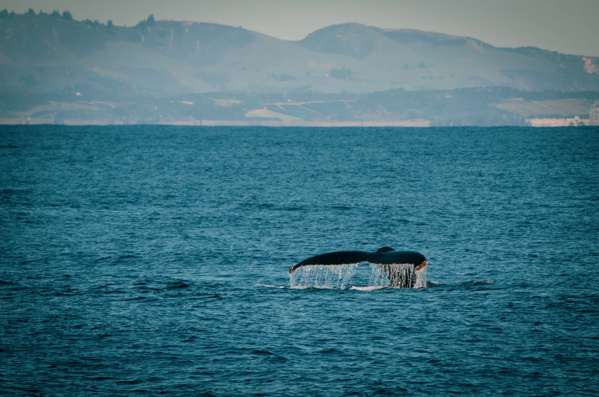 DSC_4614.jpg