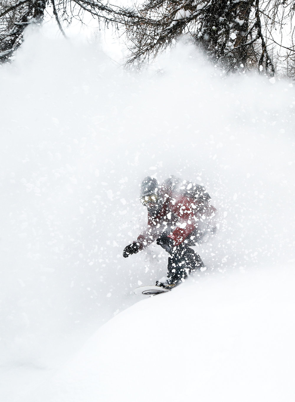 Chasingwinter14.jpg