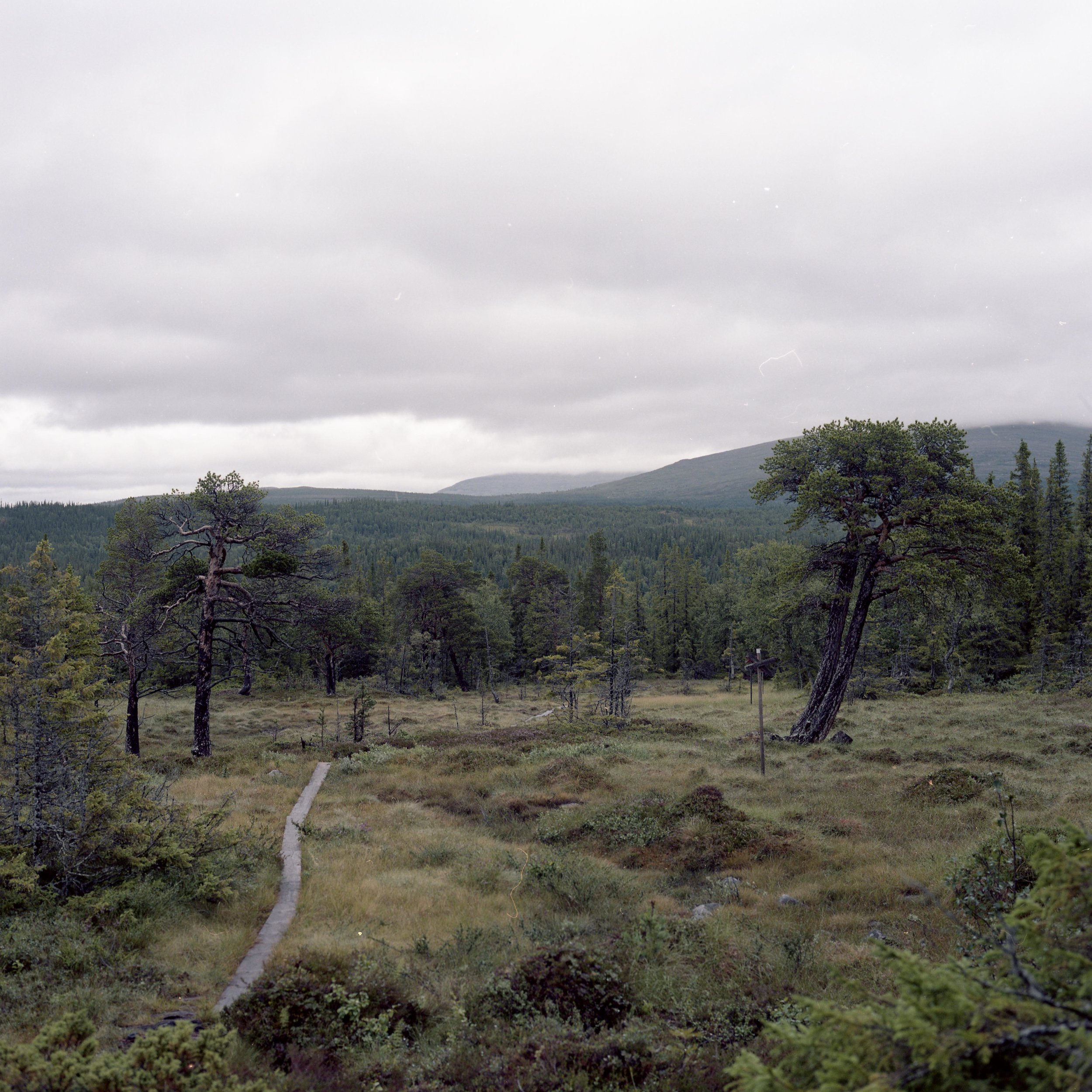 VÅLÅTEST (29 av 40).jpg
