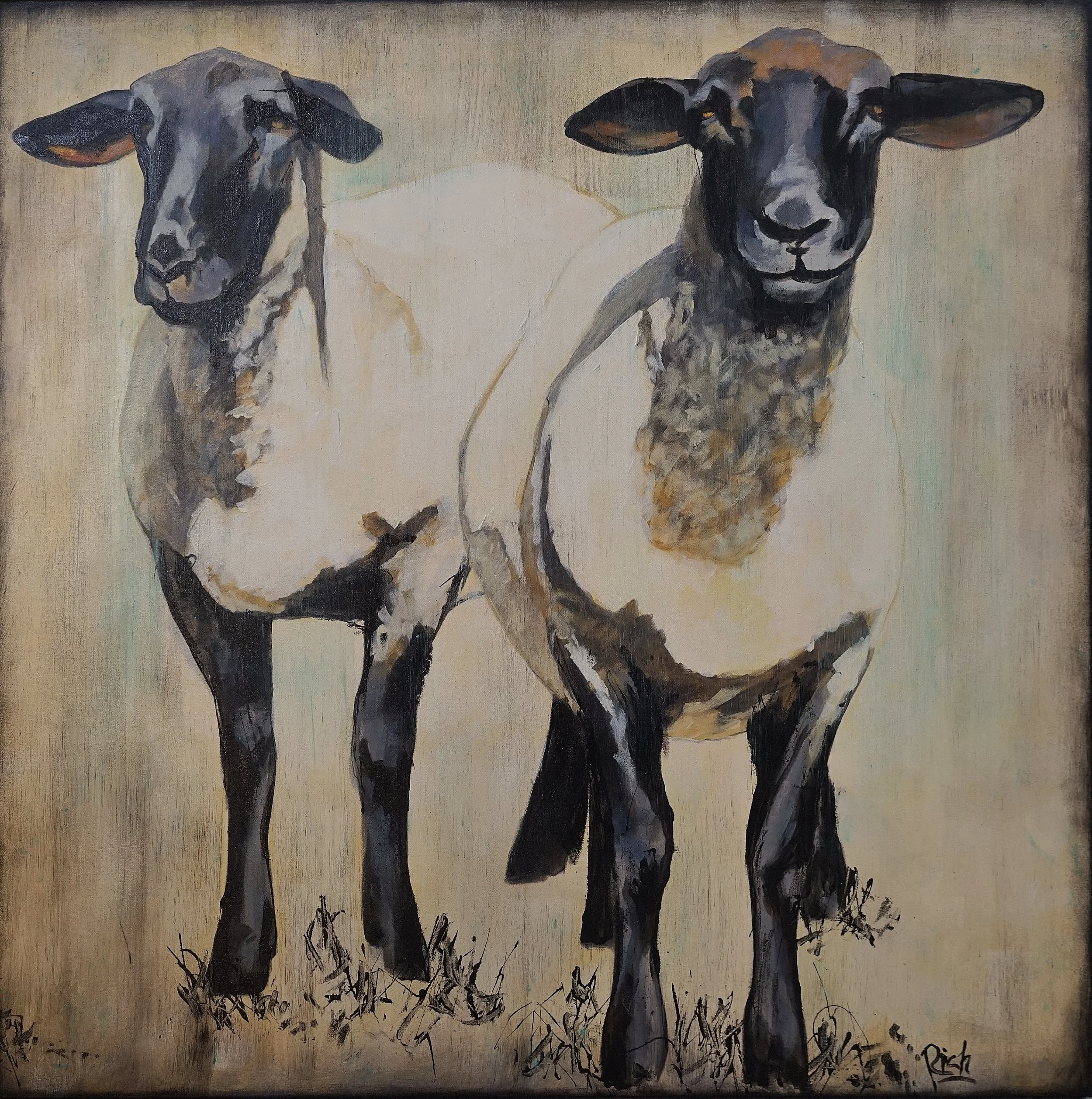 Pair of Ewes Acrylic on canvas 38x38