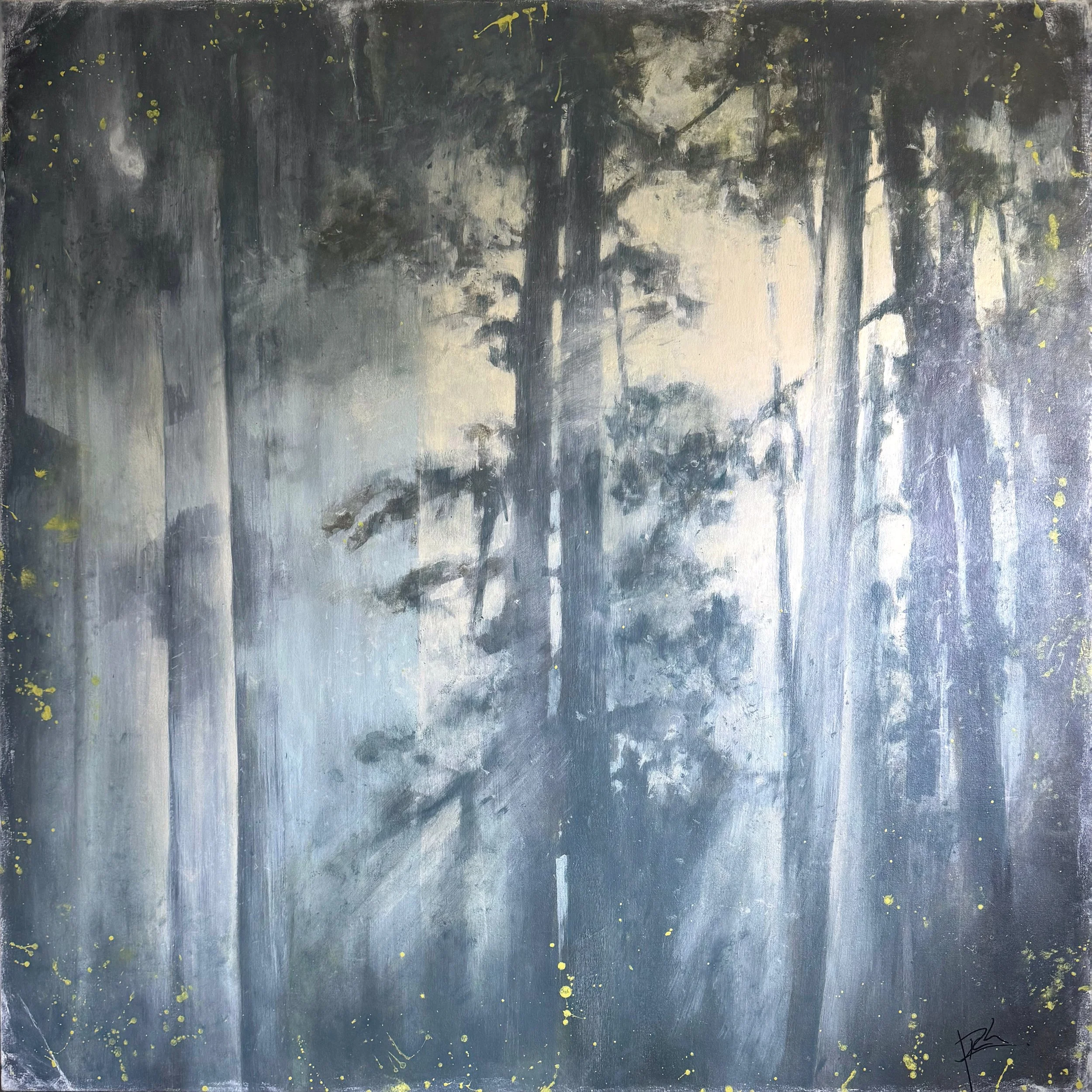  through the veil 40×40 