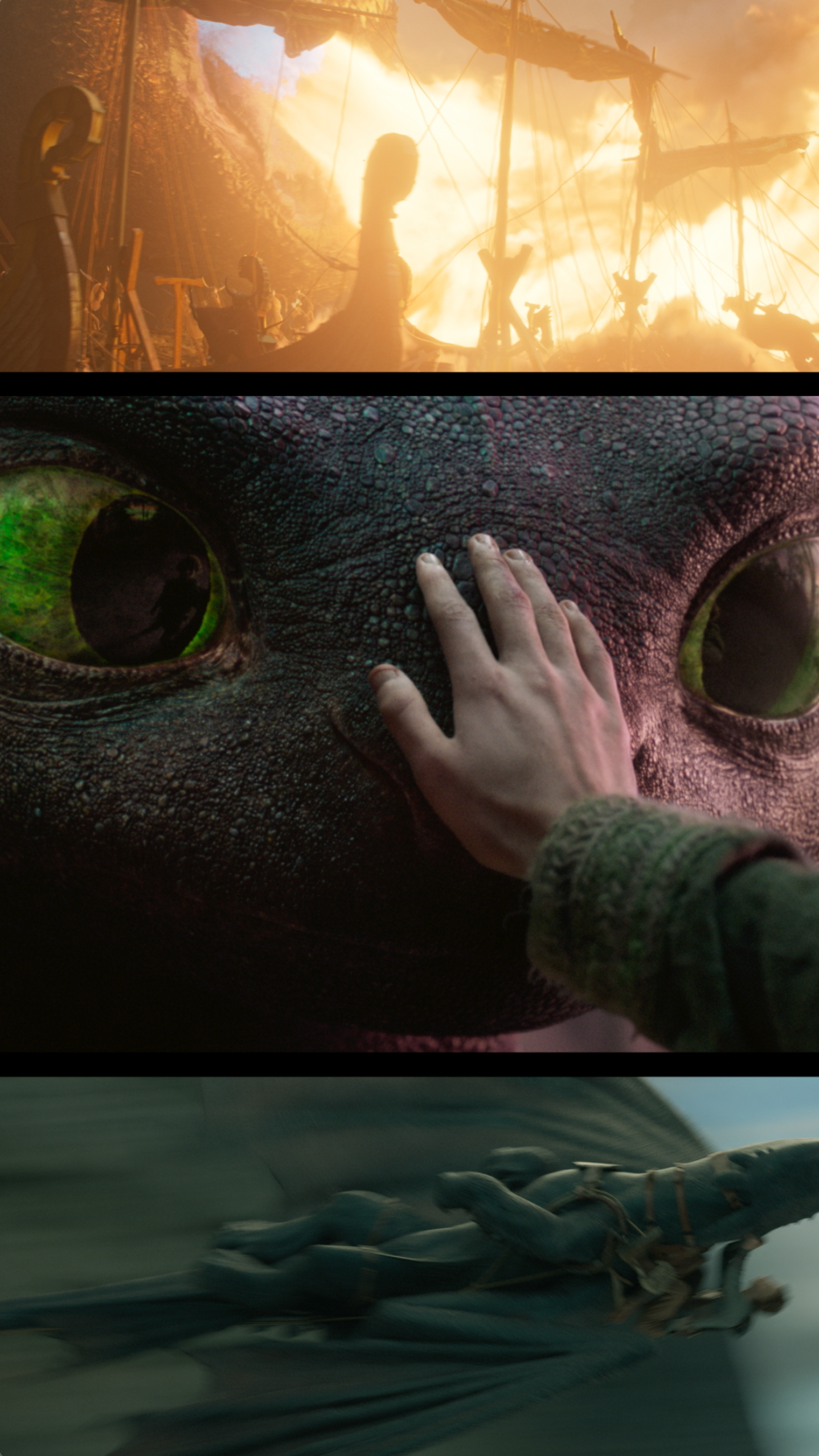 How To Train Your Dragon - Social 9x16 "Spectacle"
