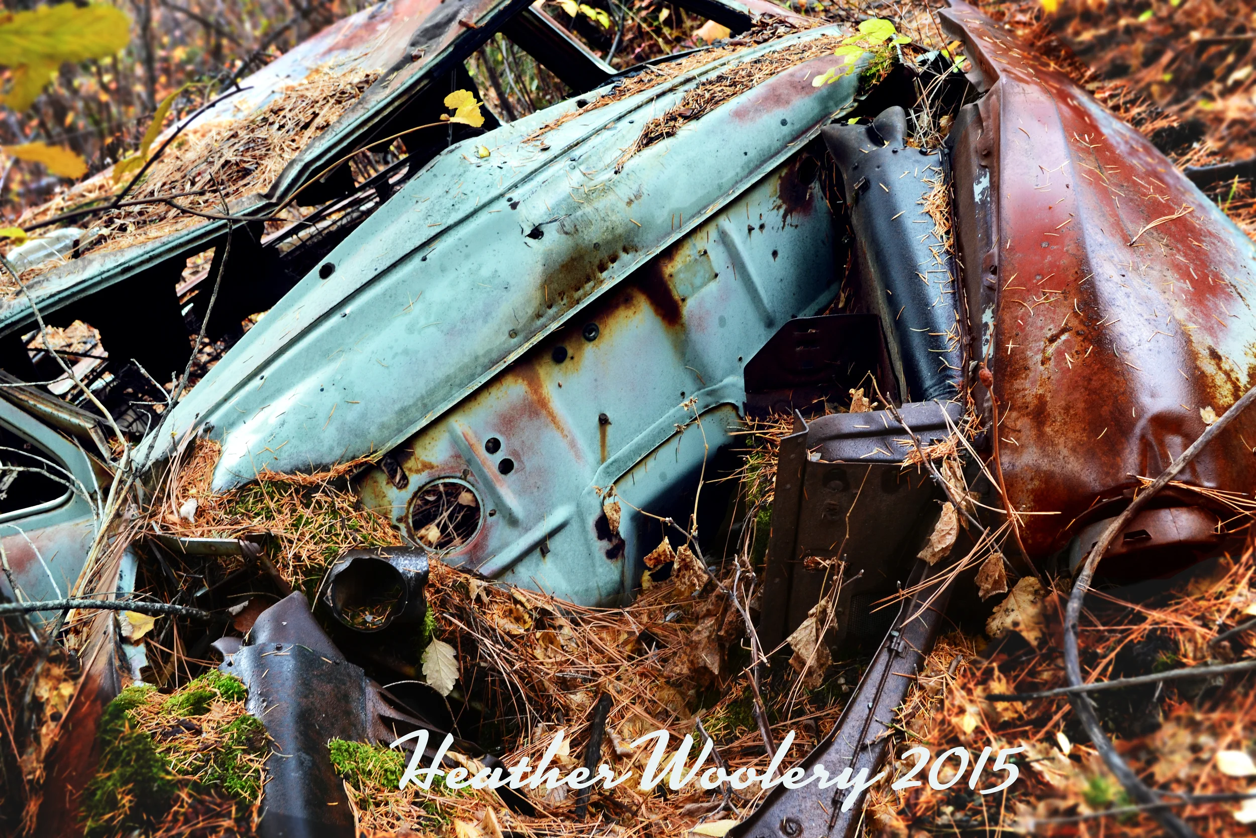 All Rights Reserved | Heather Woolery | 2015