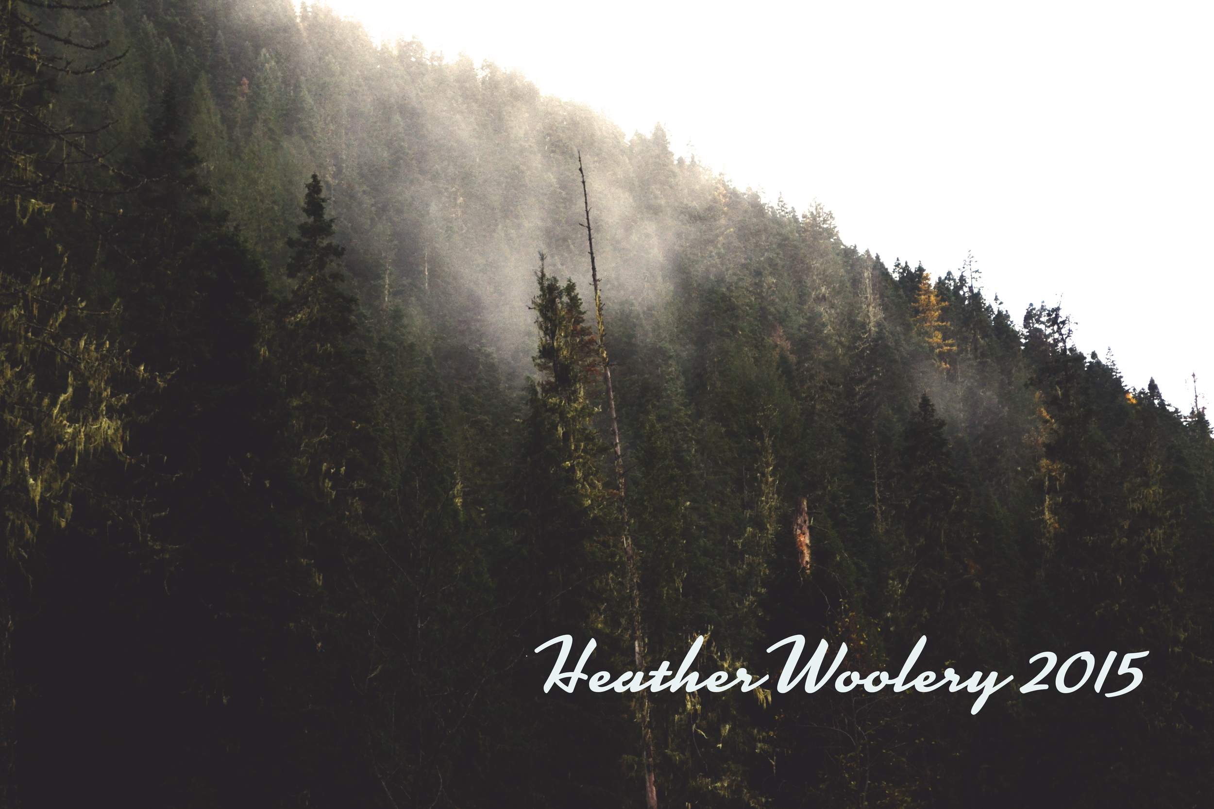 All Rights Reserved | Heather Woolery | 2015