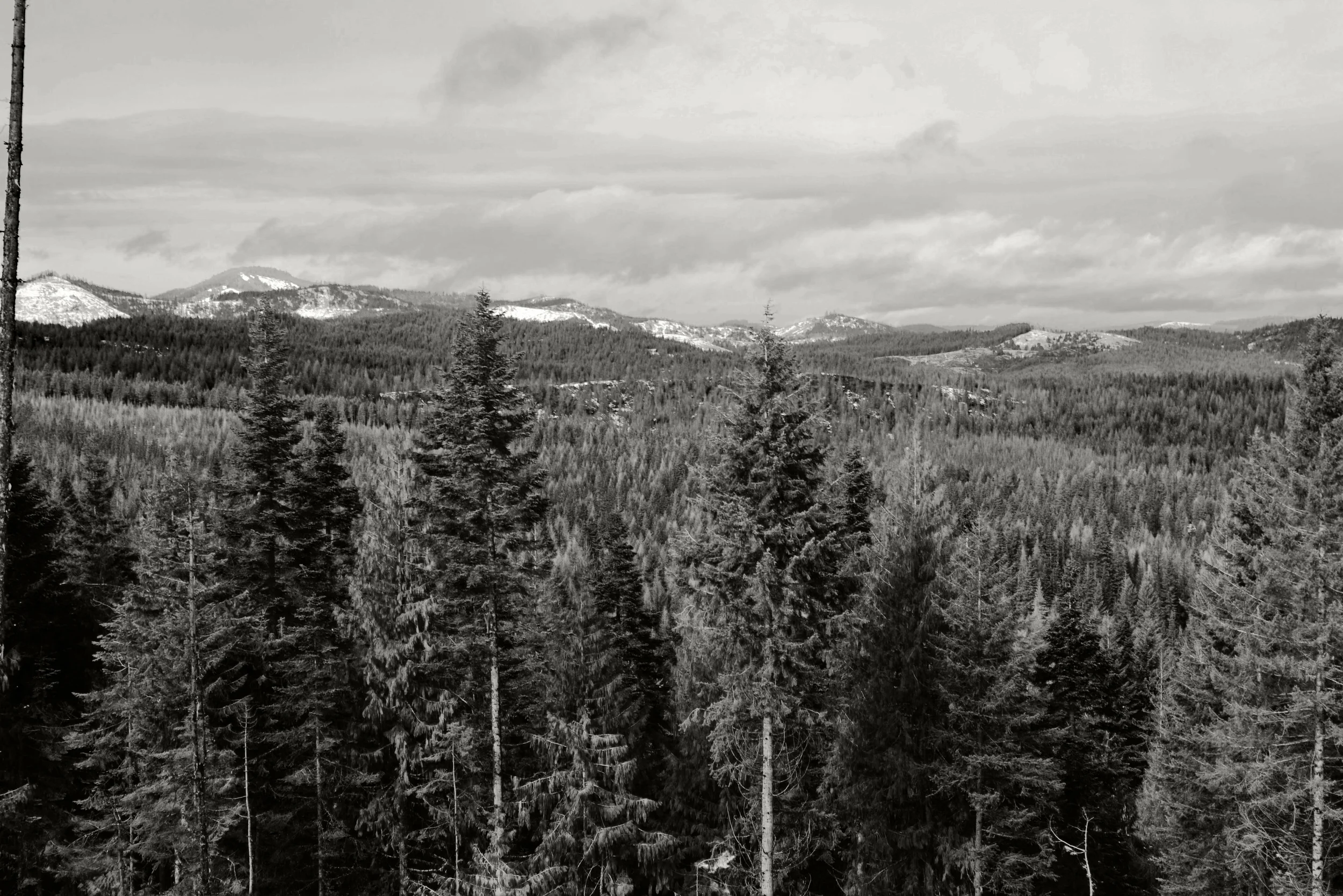 All Rights Reserved: Heather Woolery 2016 | Idahome: Snowshoe Views