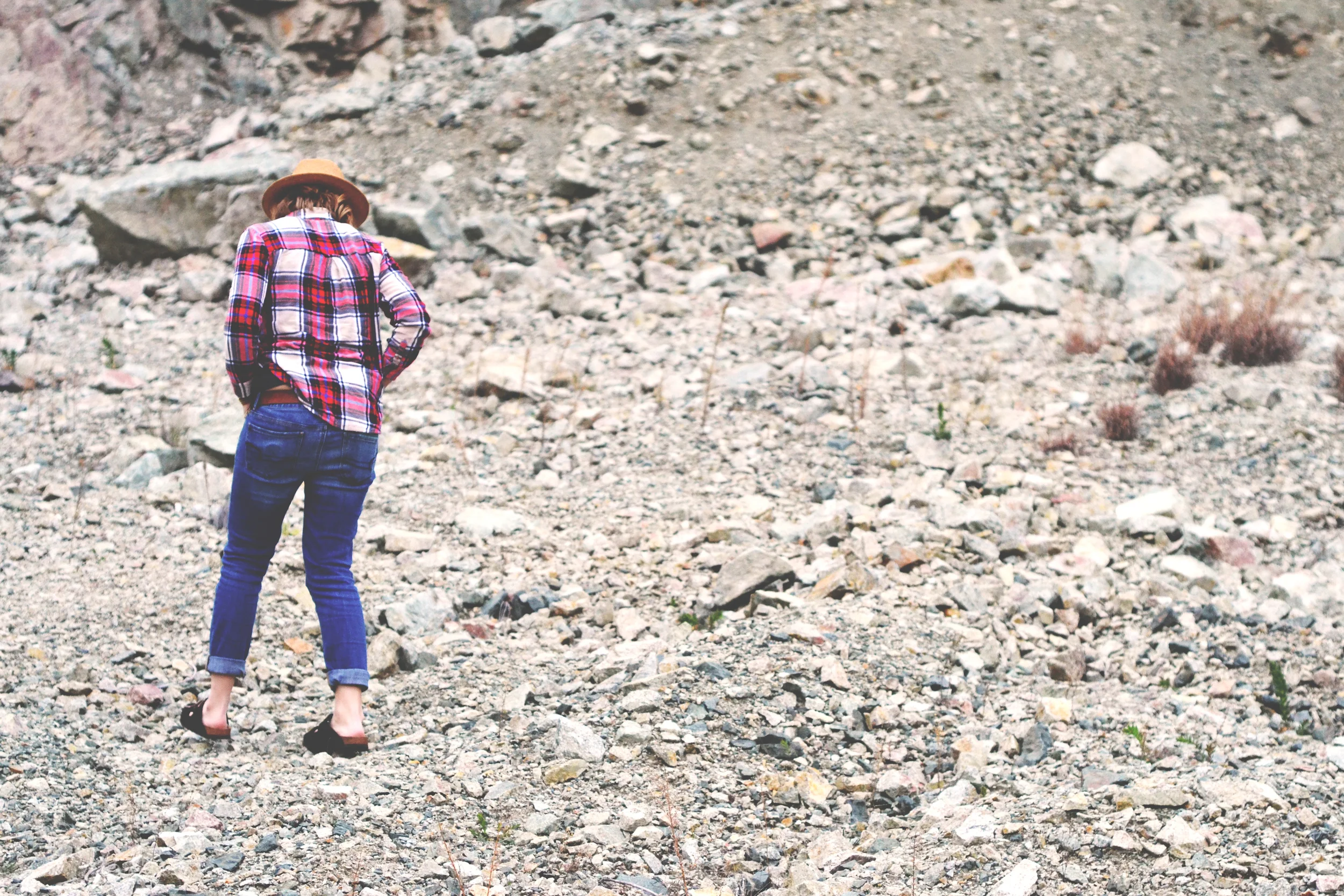Explorer | Photo taken by hubbs | Riggins Idaho | All Rights Reserved: Heather Woolery 2016