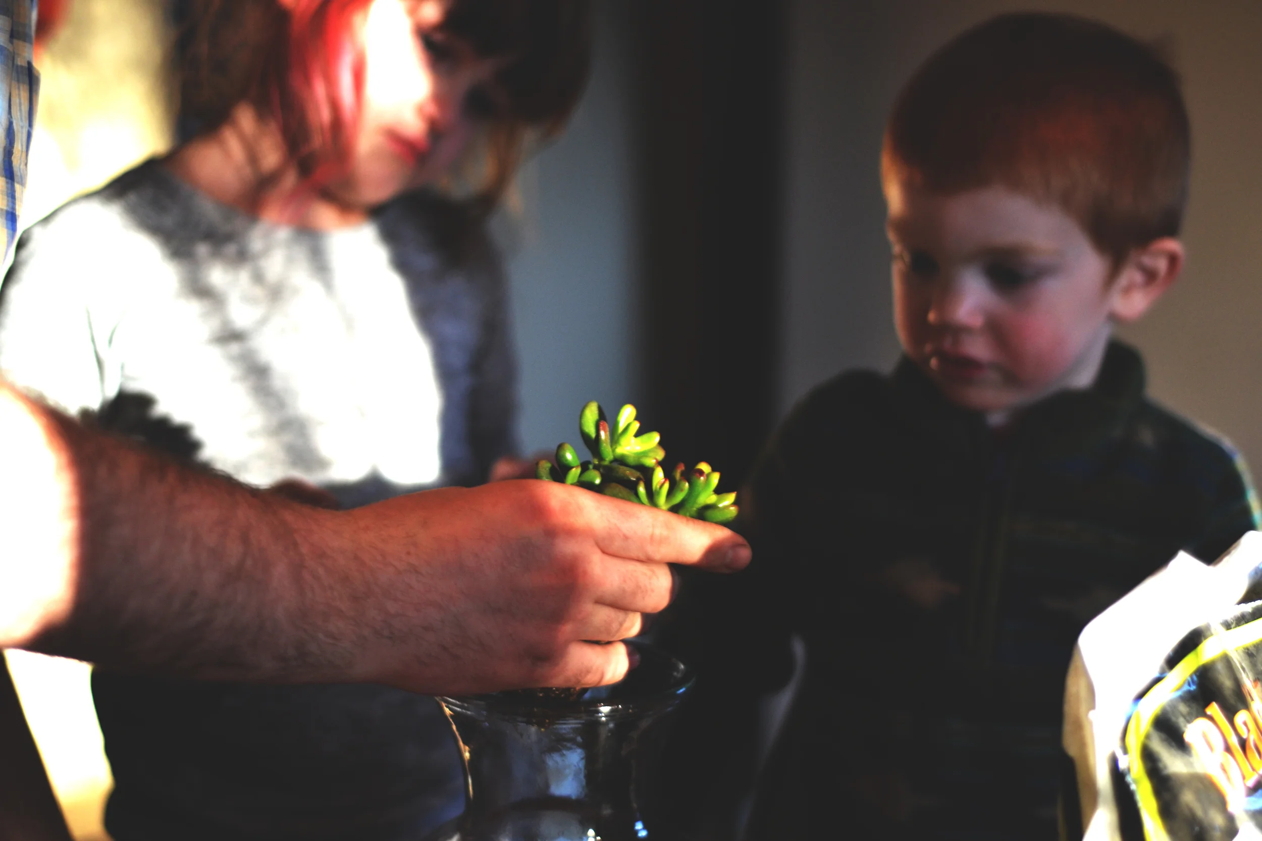 Daddy explaining the different plants | March 2016 | All Rights Reserved: Heather Woolery 2016
