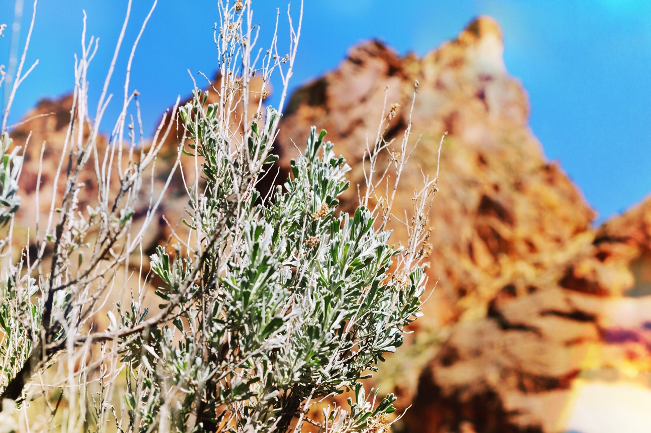 Owyhee Canyonland | Leslie Gulch | All Rights Reserved: Heather Woolery 2016