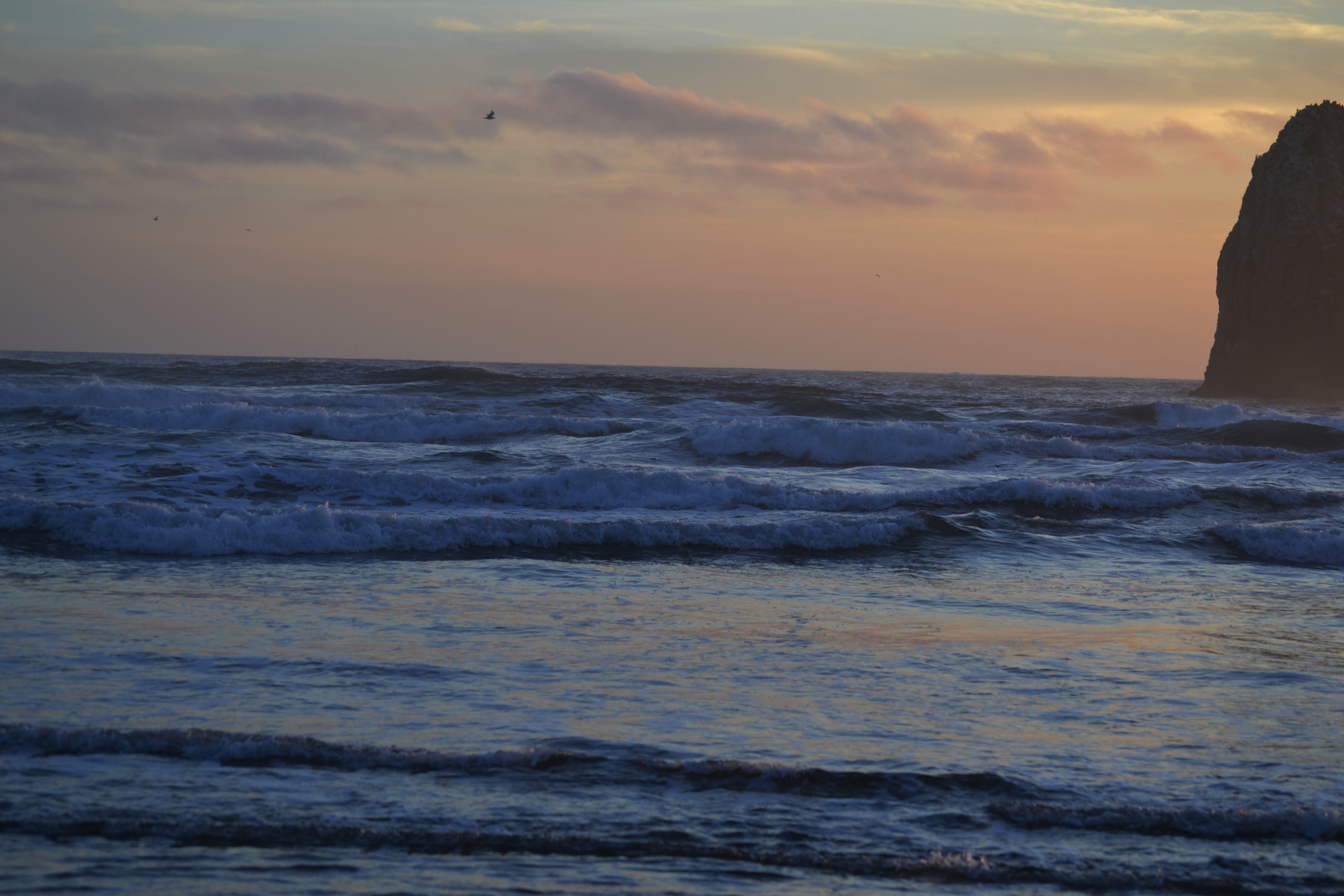 #thatPNWmeet | Cannon Beach | April 30 2016 | All Rights Reserved: Heather Woolery 2016