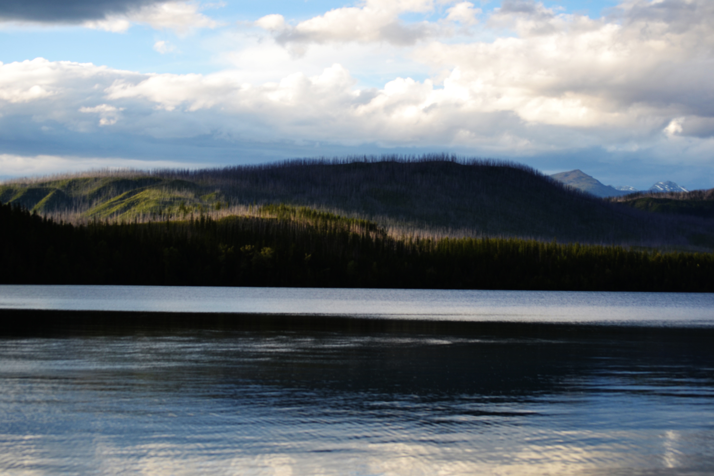 National Park Run 2016-2017: Glacier | June 2016 | All Rights Reserved 2016 Heather Woolery