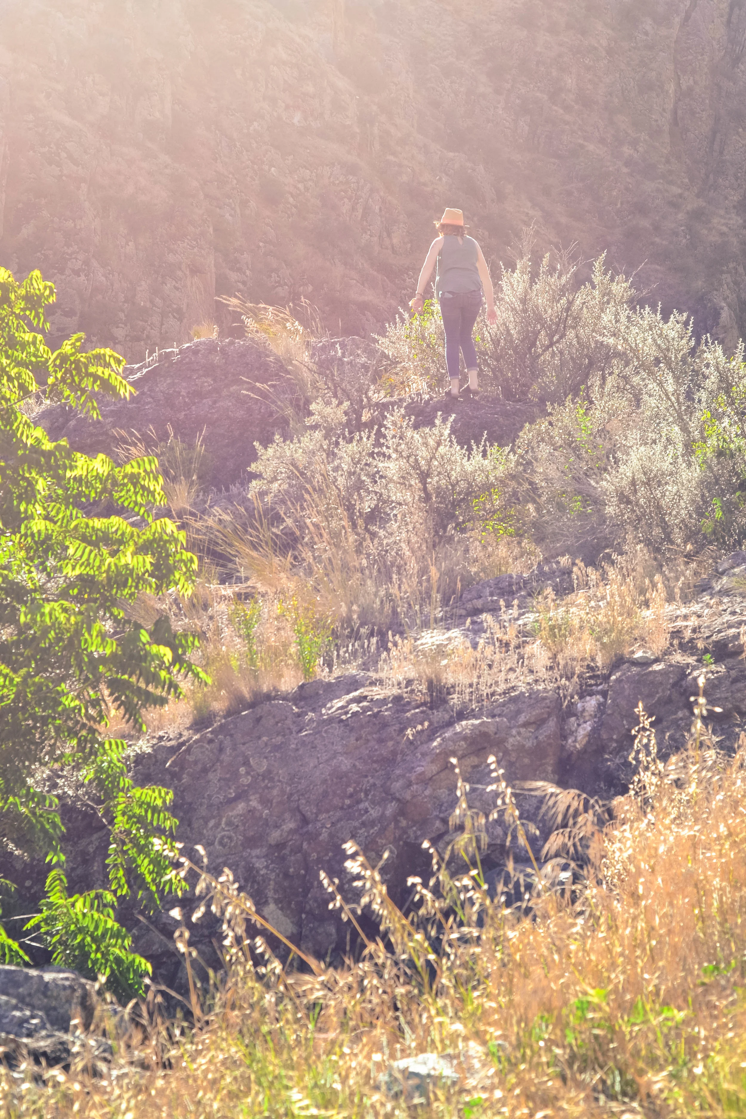 Riggins, Idaho | June 2016 | All Rights Reserved: Heather Woolery 2016