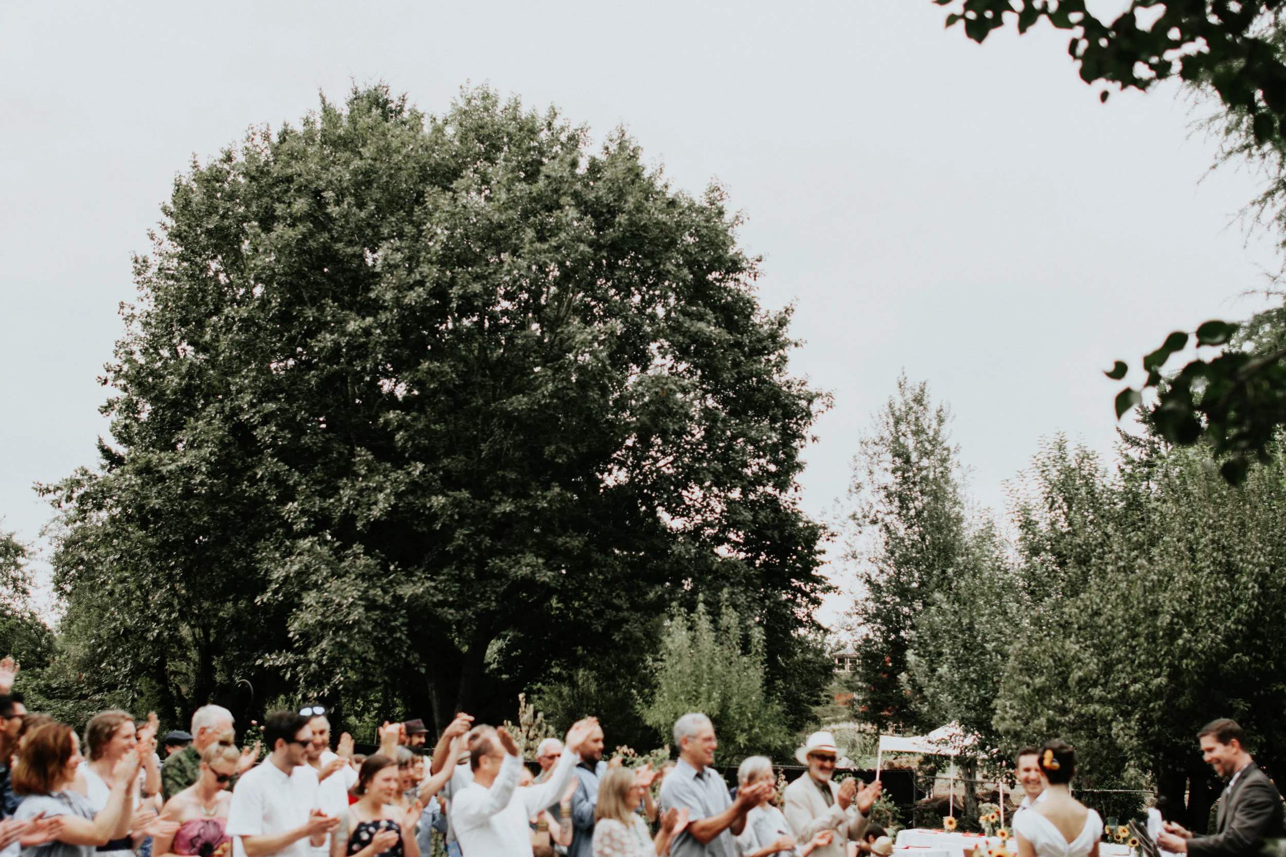 dbwedding_edit-371.jpg