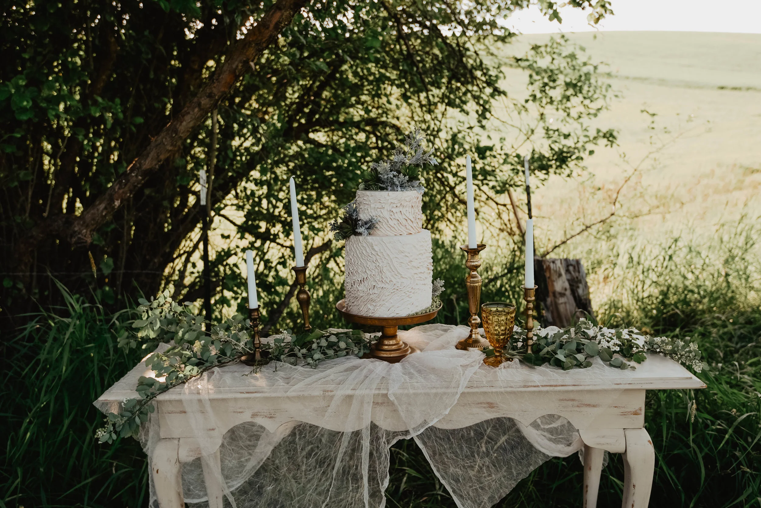 Alpaca_caketable-14.jpg