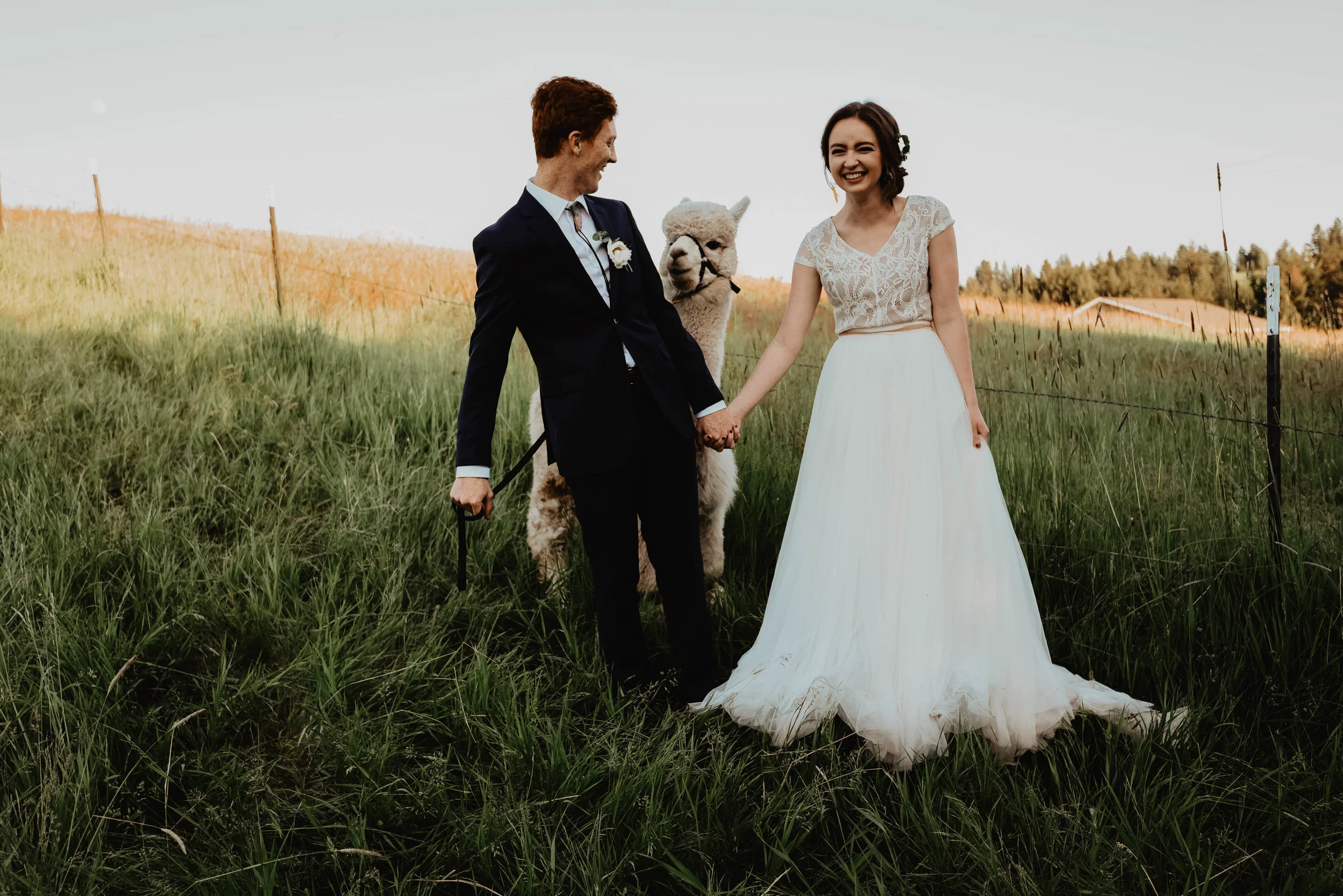 Alpaca_alpacabridals-47.jpg