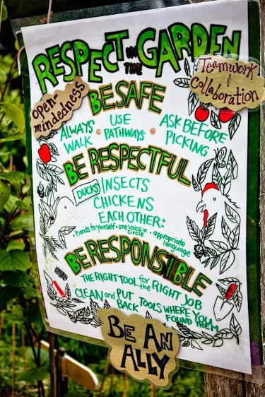 escottedibleschoolyardgarden-5.jpg