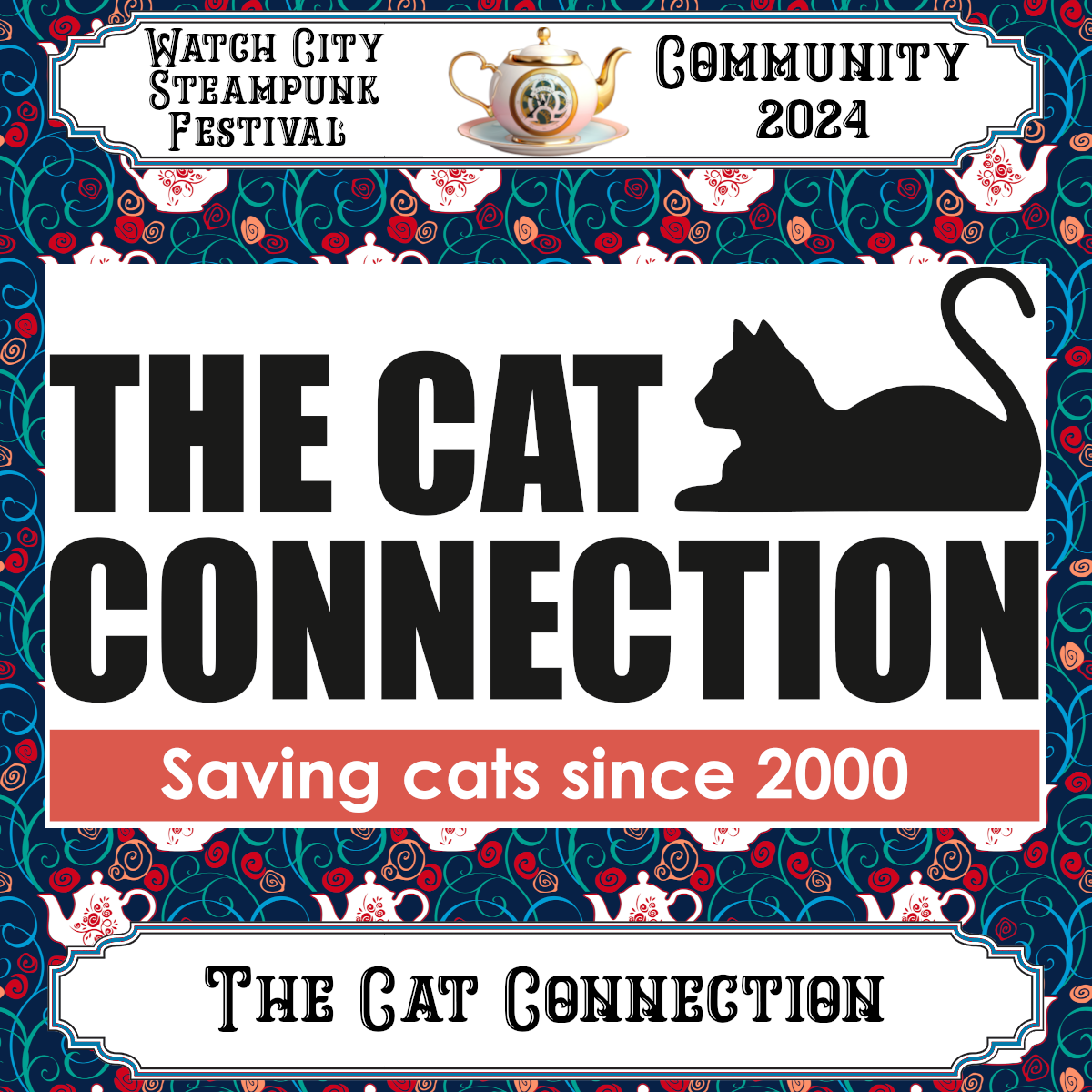 The Cat Connection