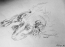 Drawing of 'Sadie' our dog my last drawing for years.