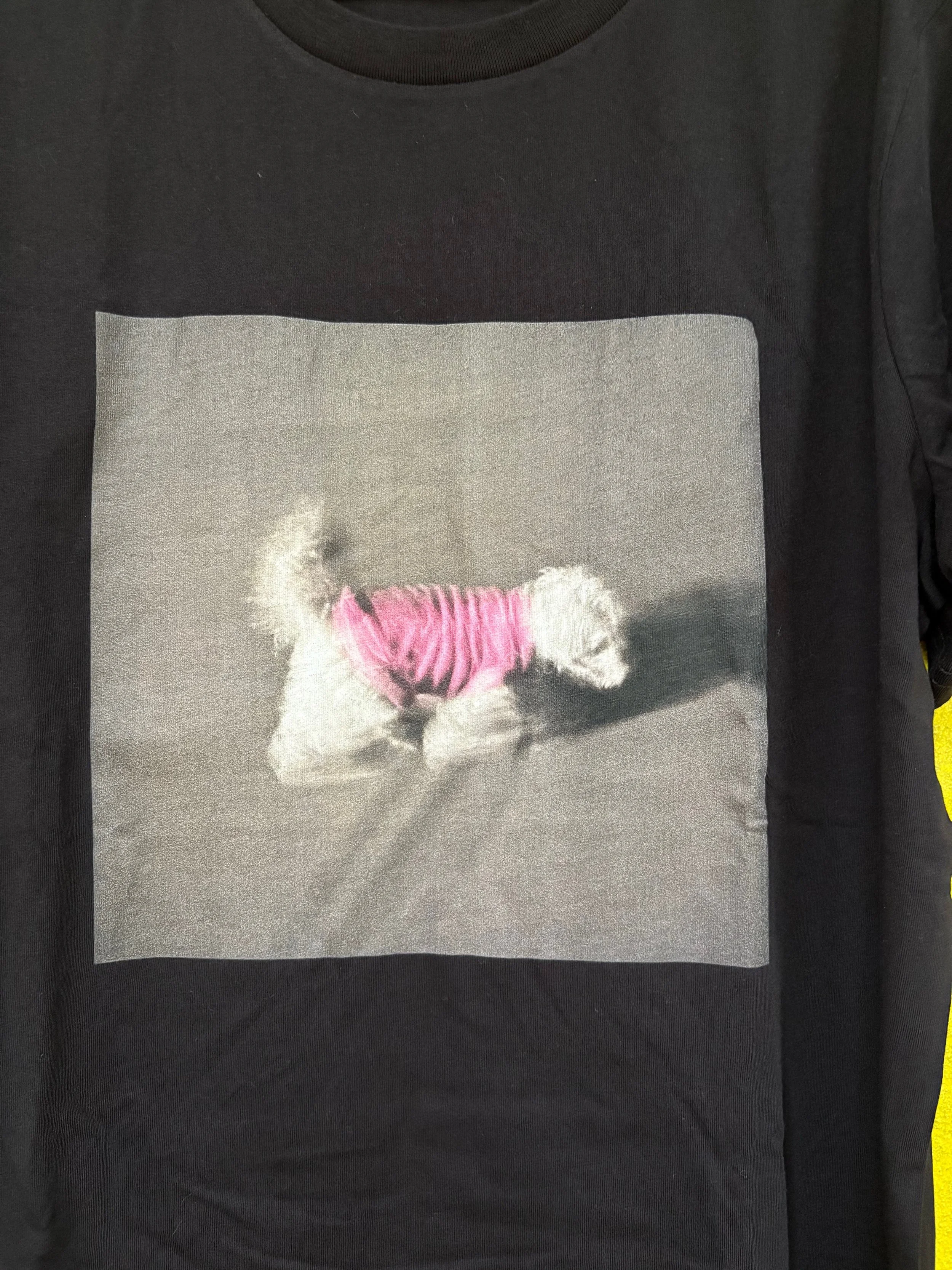dog in motion t close up.jpg