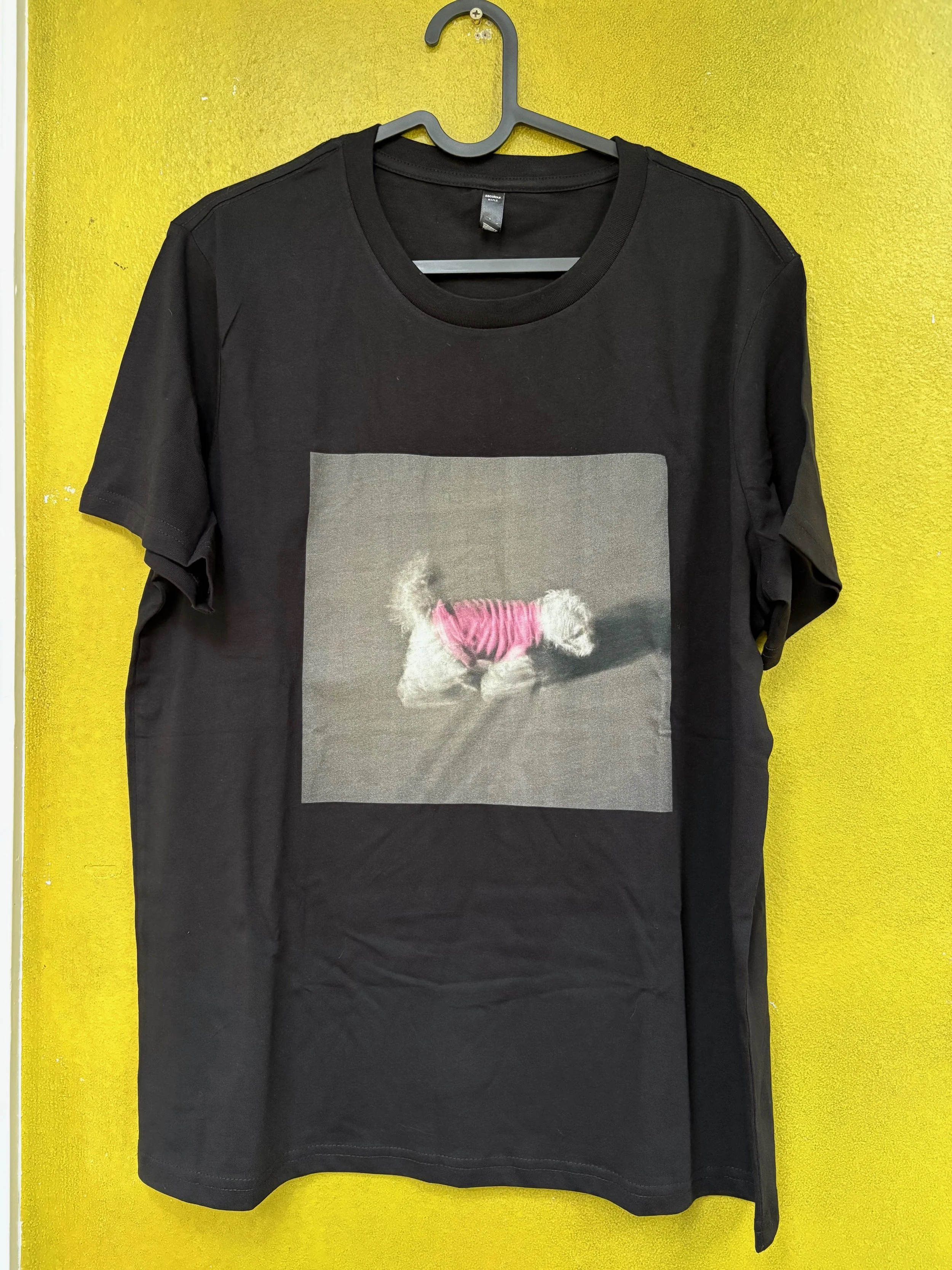 dog in motion t.jpg