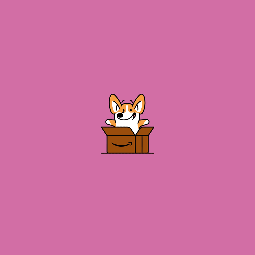 amazon corgi