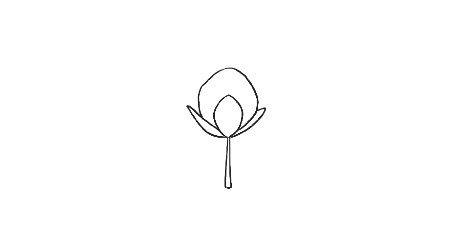 2018-01-23-Cotton-animatic-Willie-V2-WIP3.gif