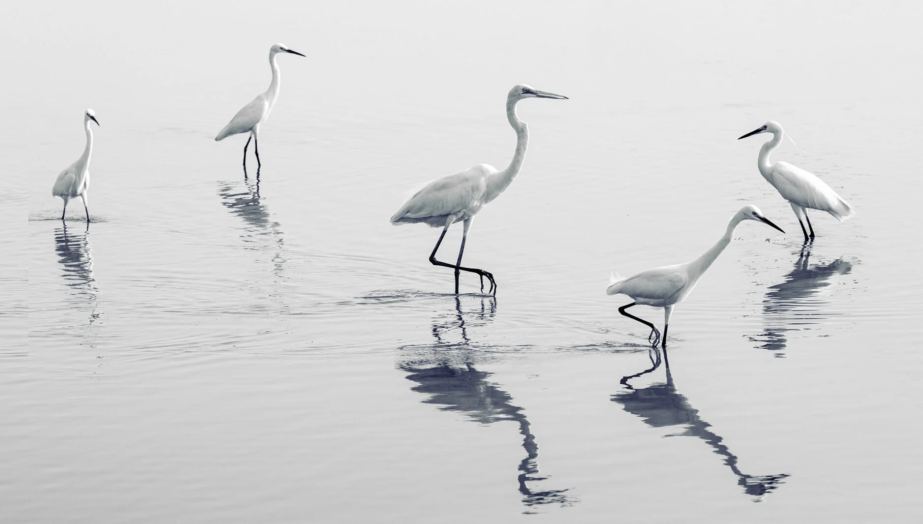 _X3B9143-Edit-Edit.jpg