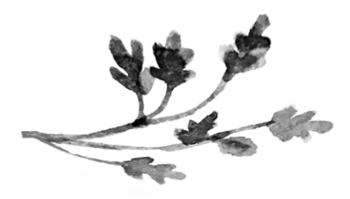 Branch.png