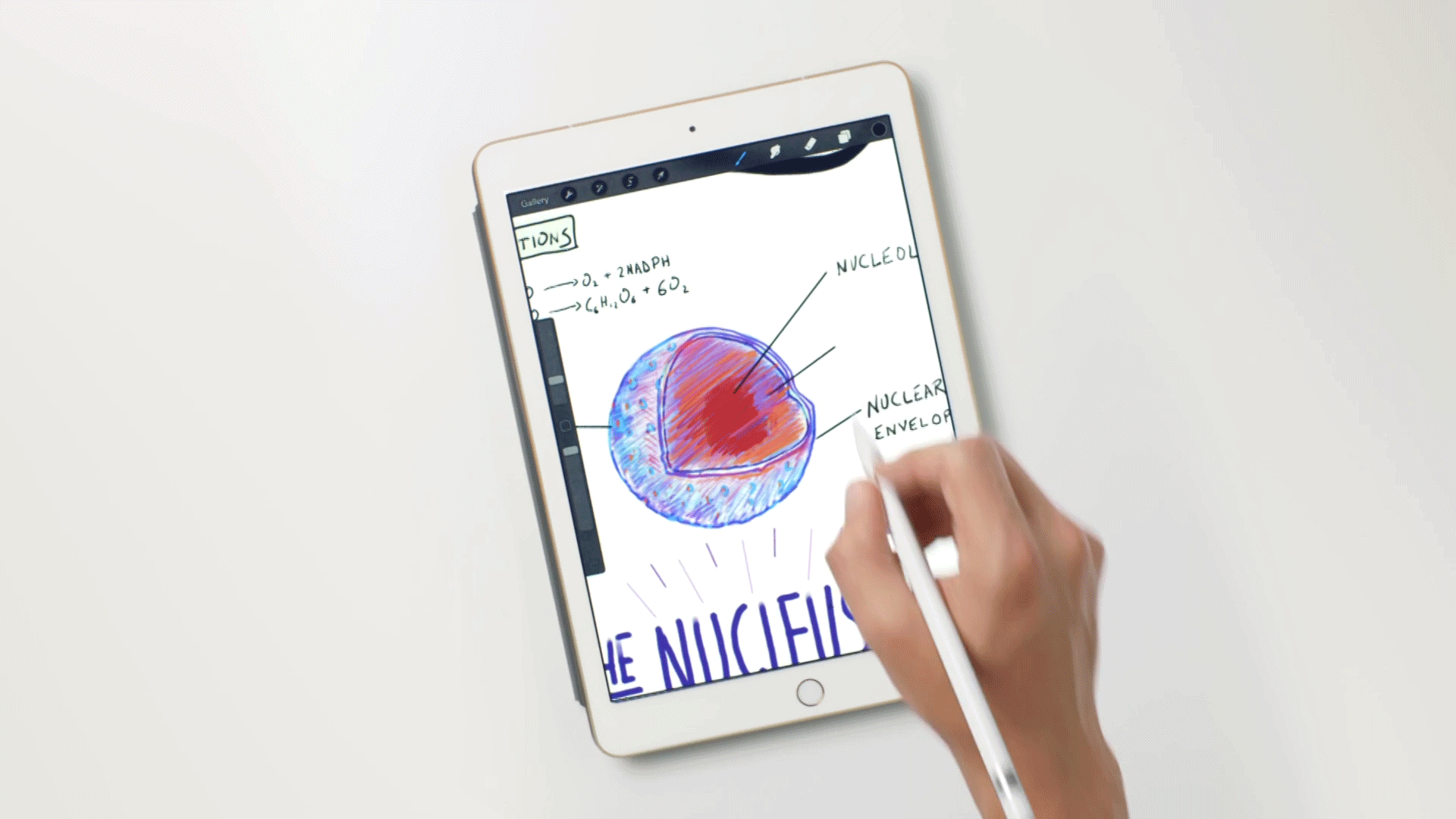 iPadPro_3.gif