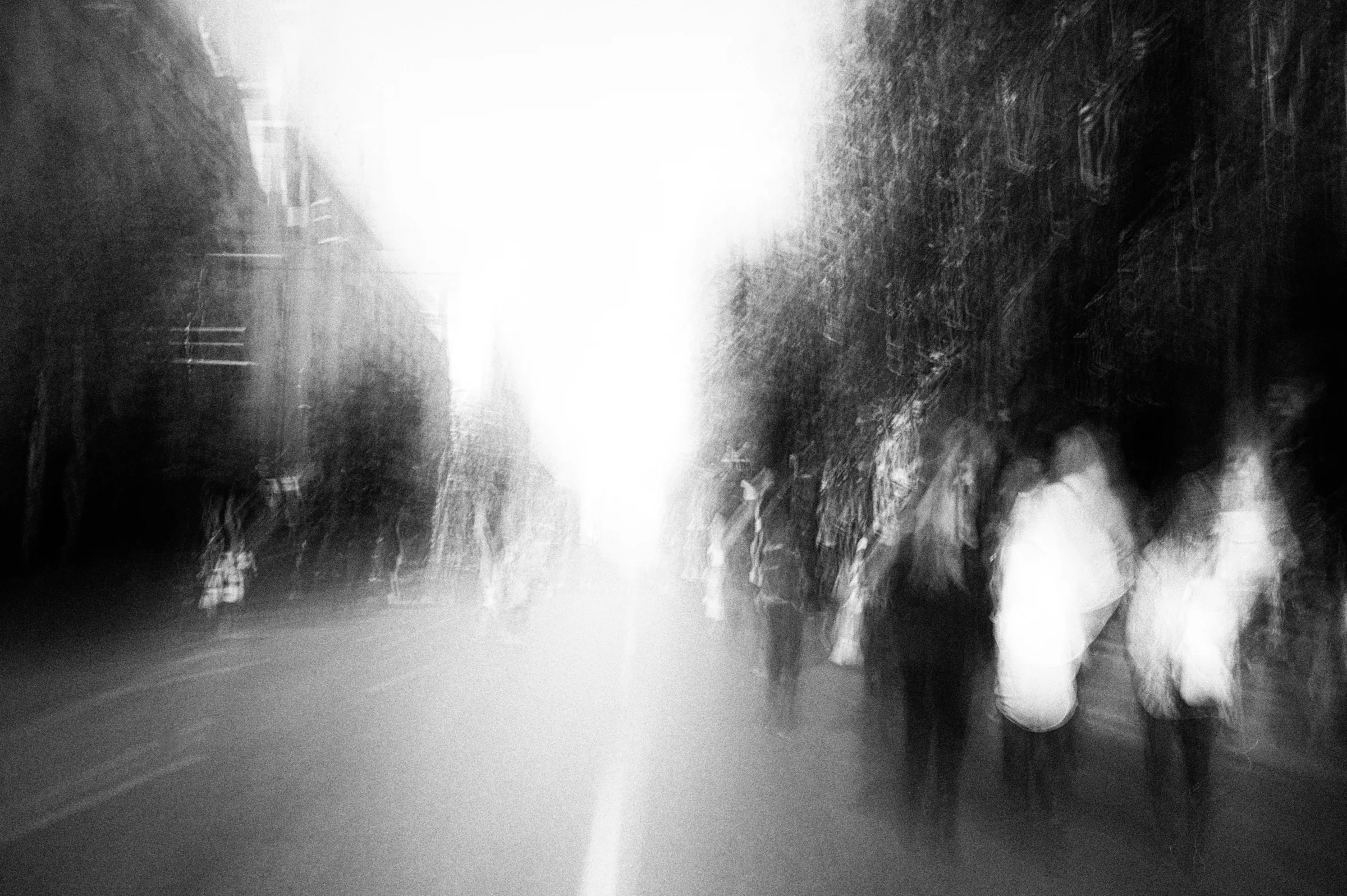 L1268227(02)*_the attraction.jpg