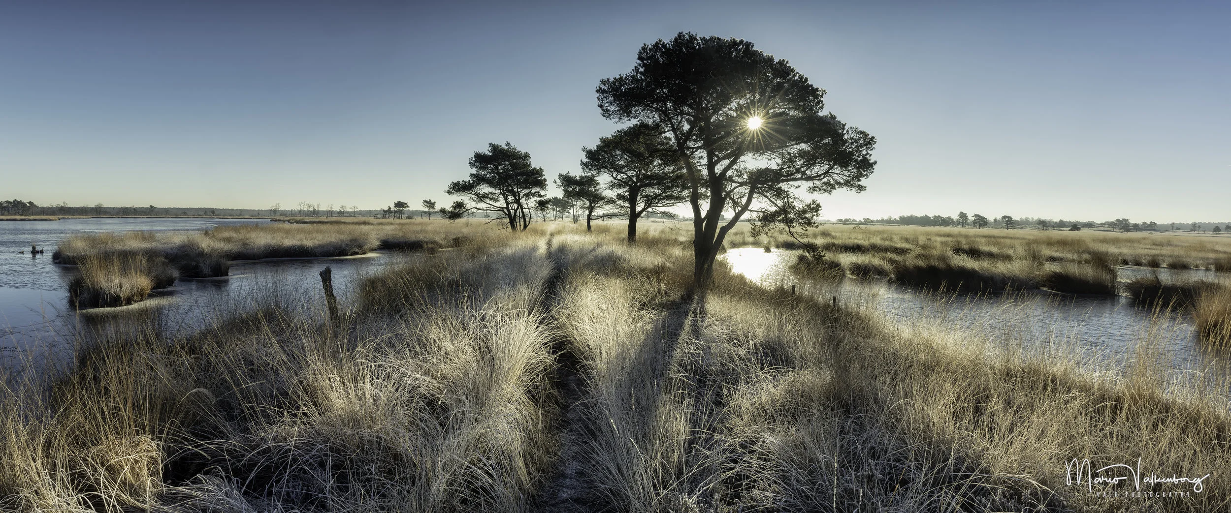20/20 - Winter @ Moor of Kalmhout