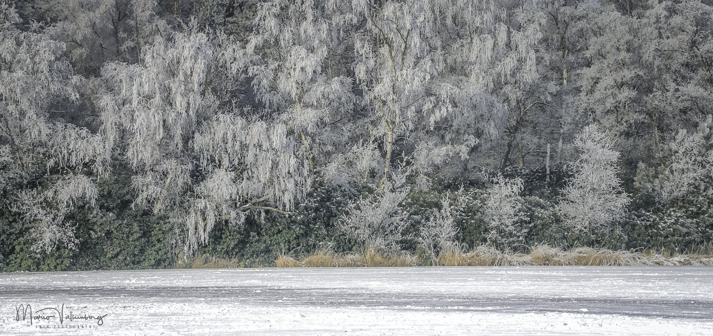 winterlandschap-001.jpg