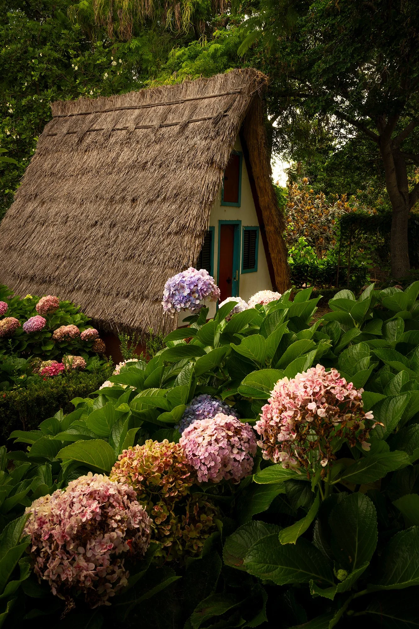 Madeira-Tropical Parc-05.jpg