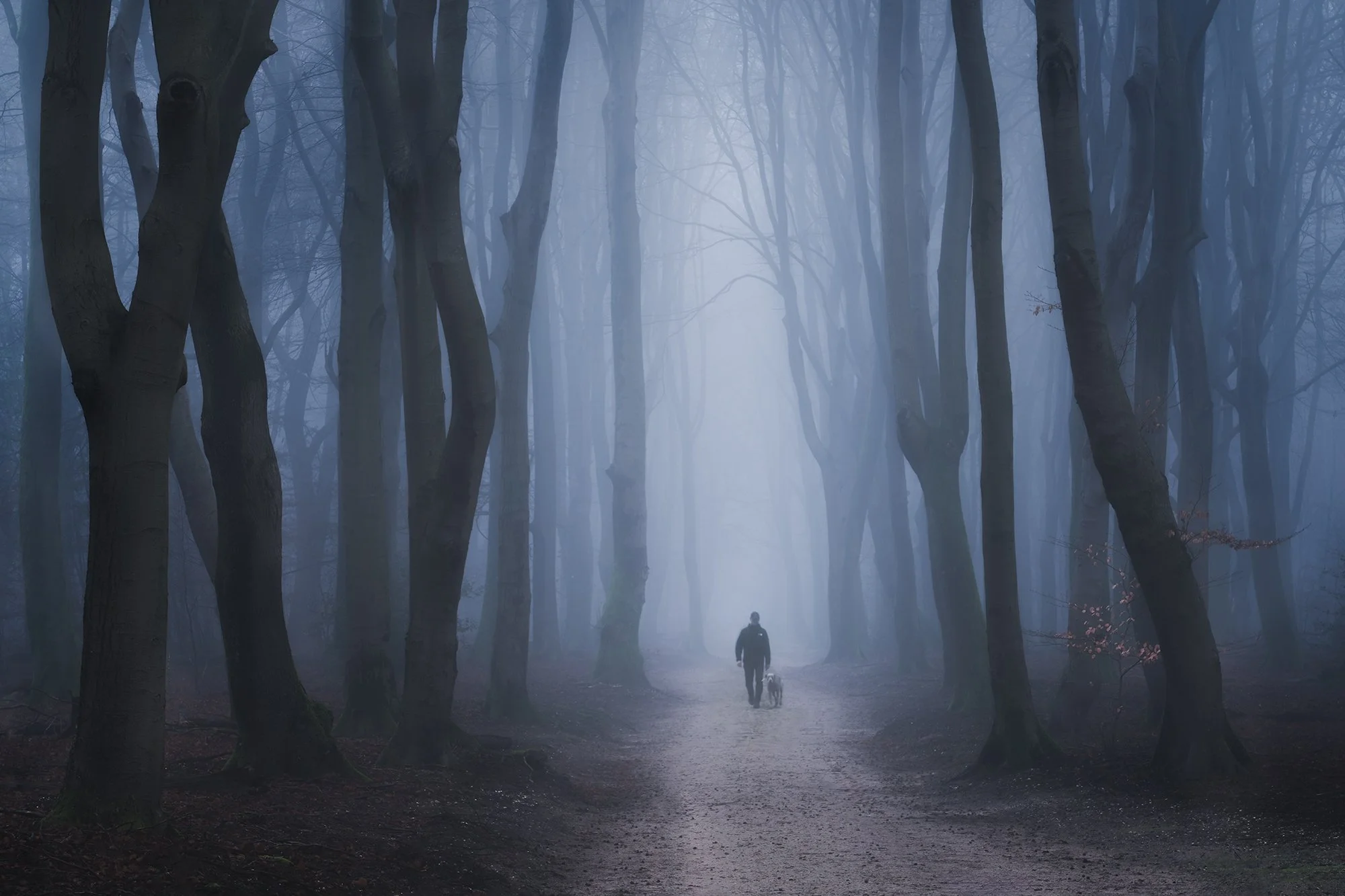 SPEULDERBOS 28:12:24 -klein-01.jpg