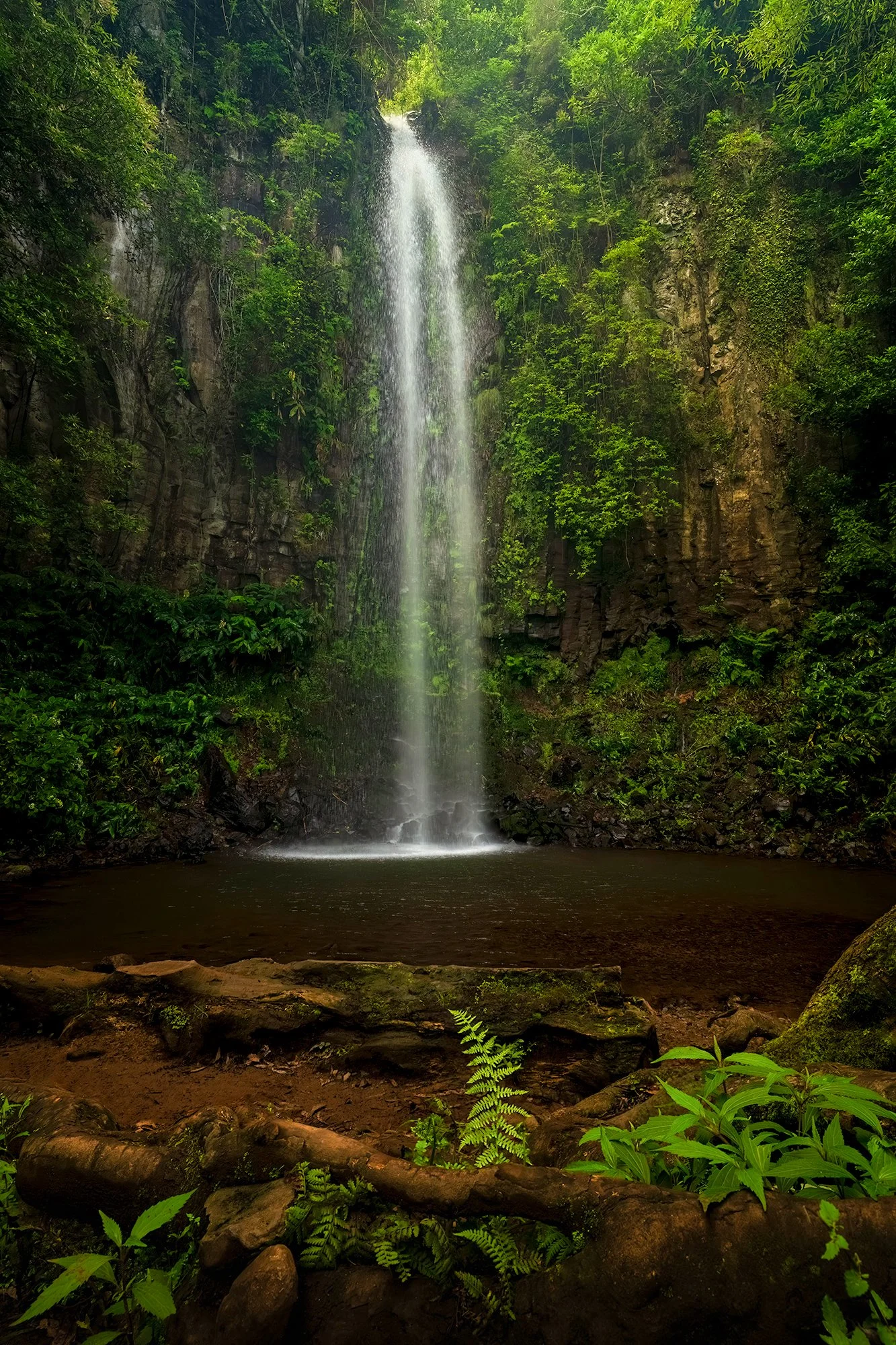 Madeira-waterval-klein-01.jpg