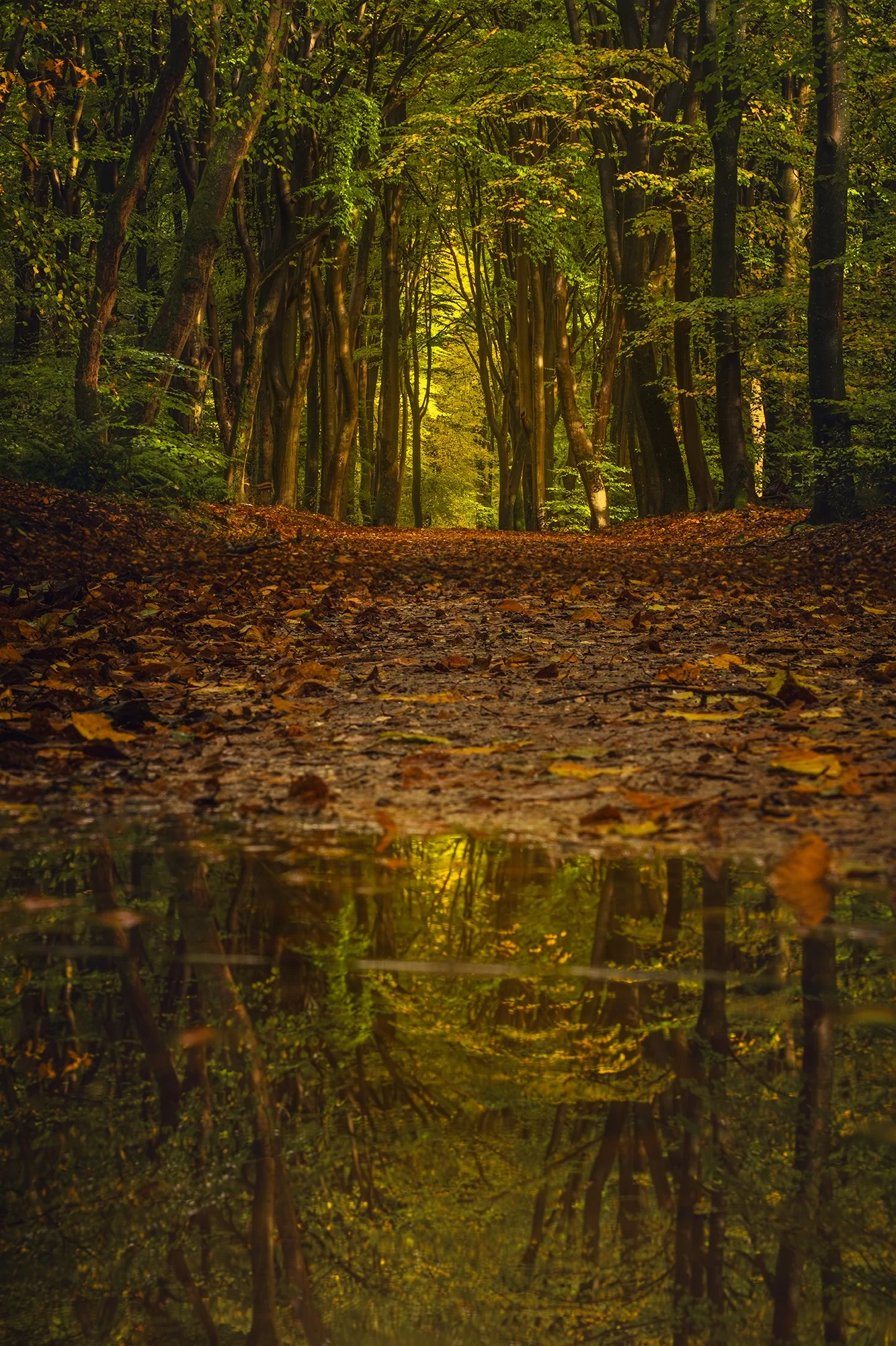 SPEULDERBOS-klein-14.jpg