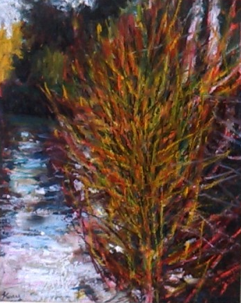 Dogwood, Chichester.PNG