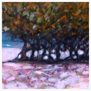 Trees, Watamu Beach.PNG