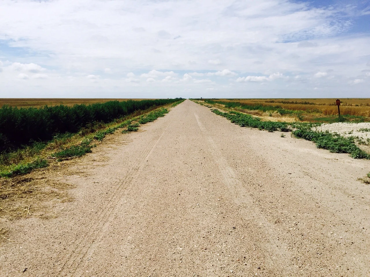 A typical view from the road. You feel kind of small out here. 
