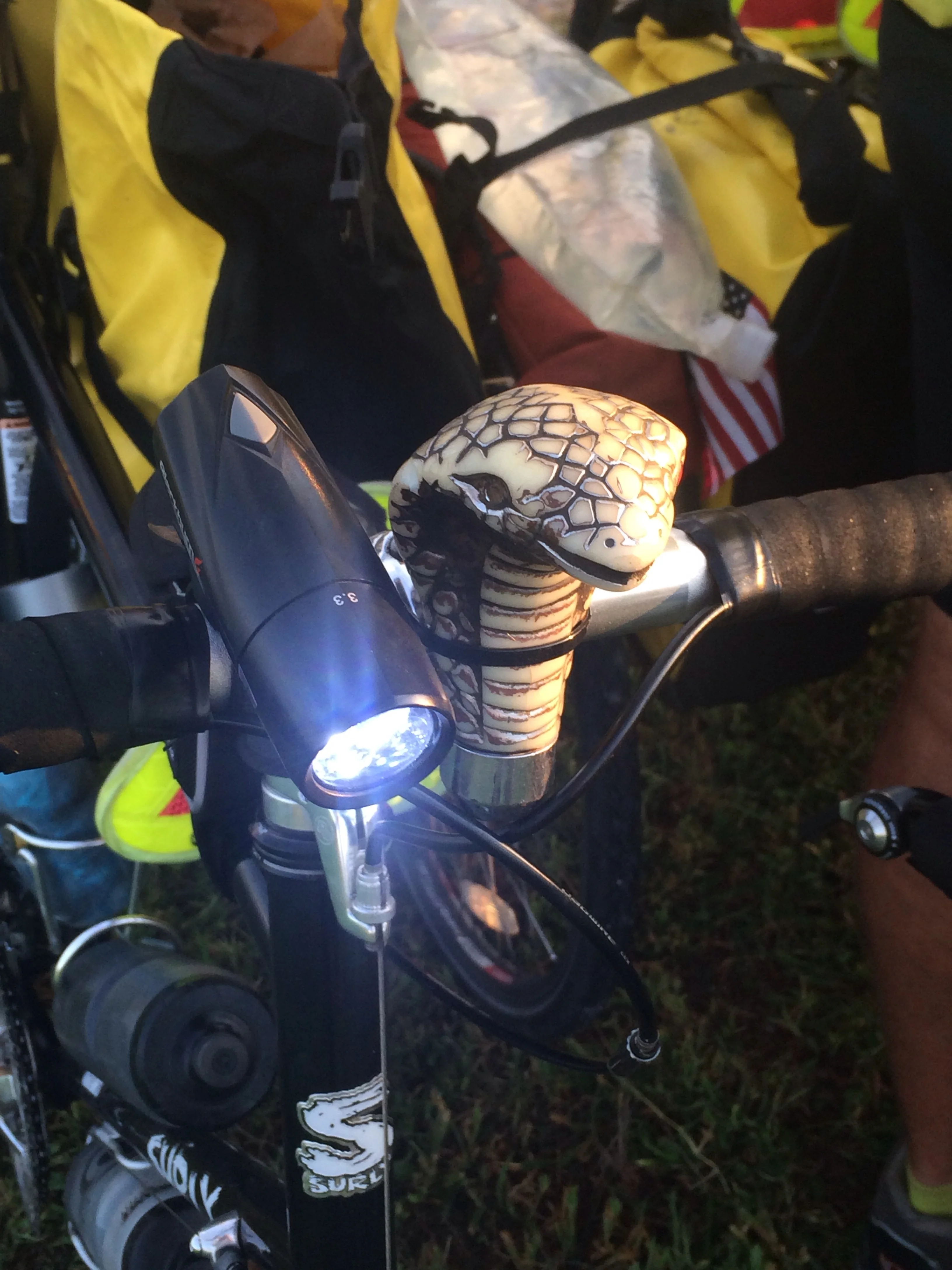 Carlos The Snake