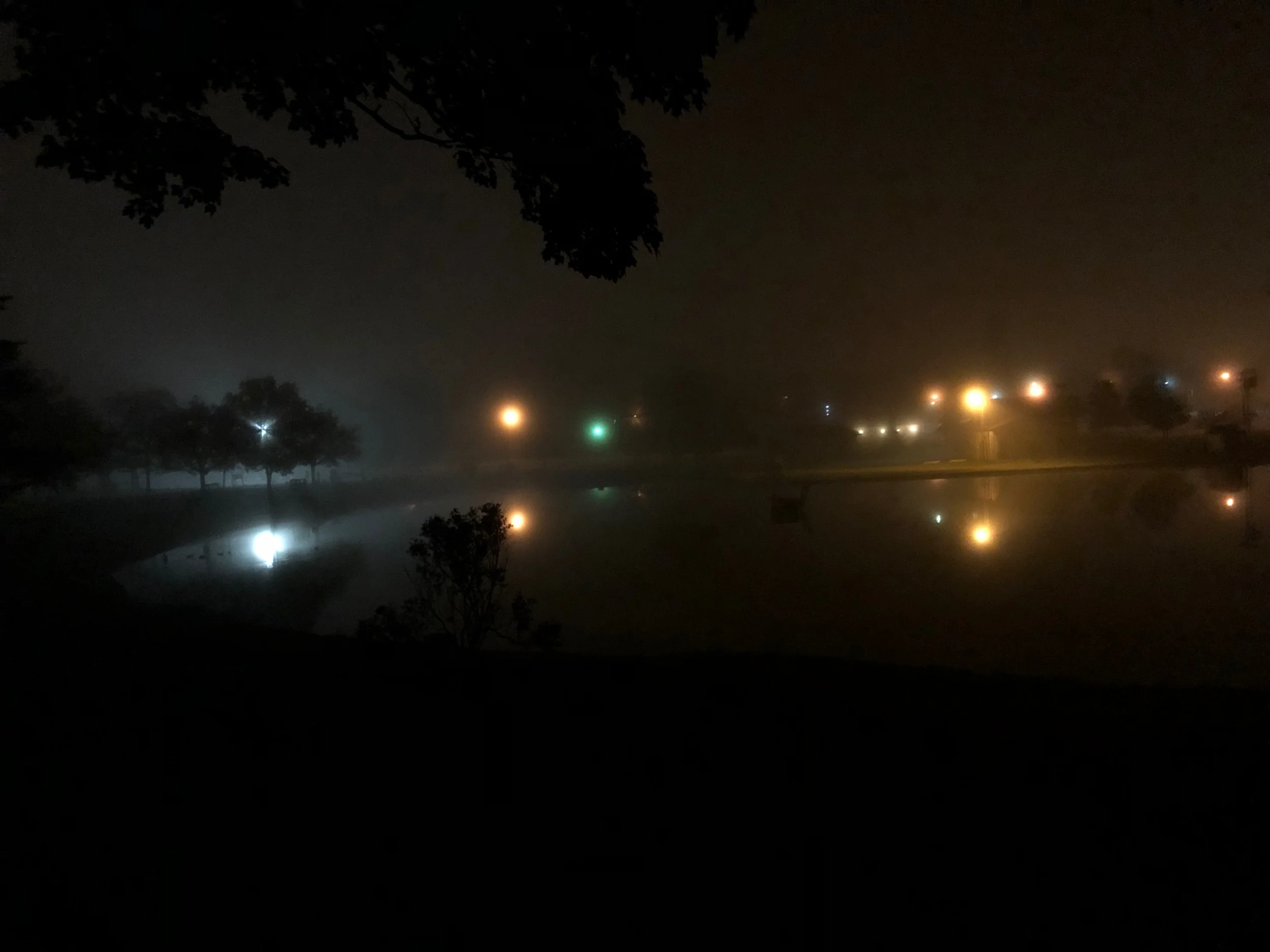 Erwin park at night