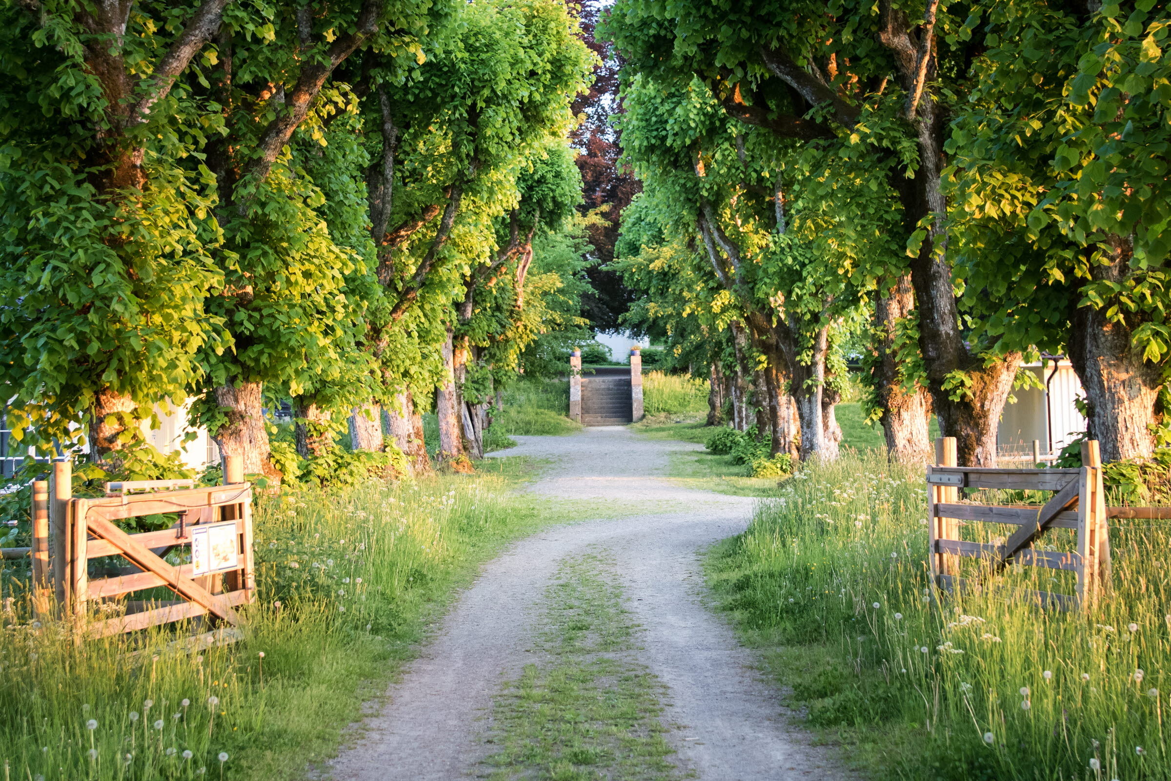 Dalsland- Photo Cred Nadja Odenhage (2).jpg