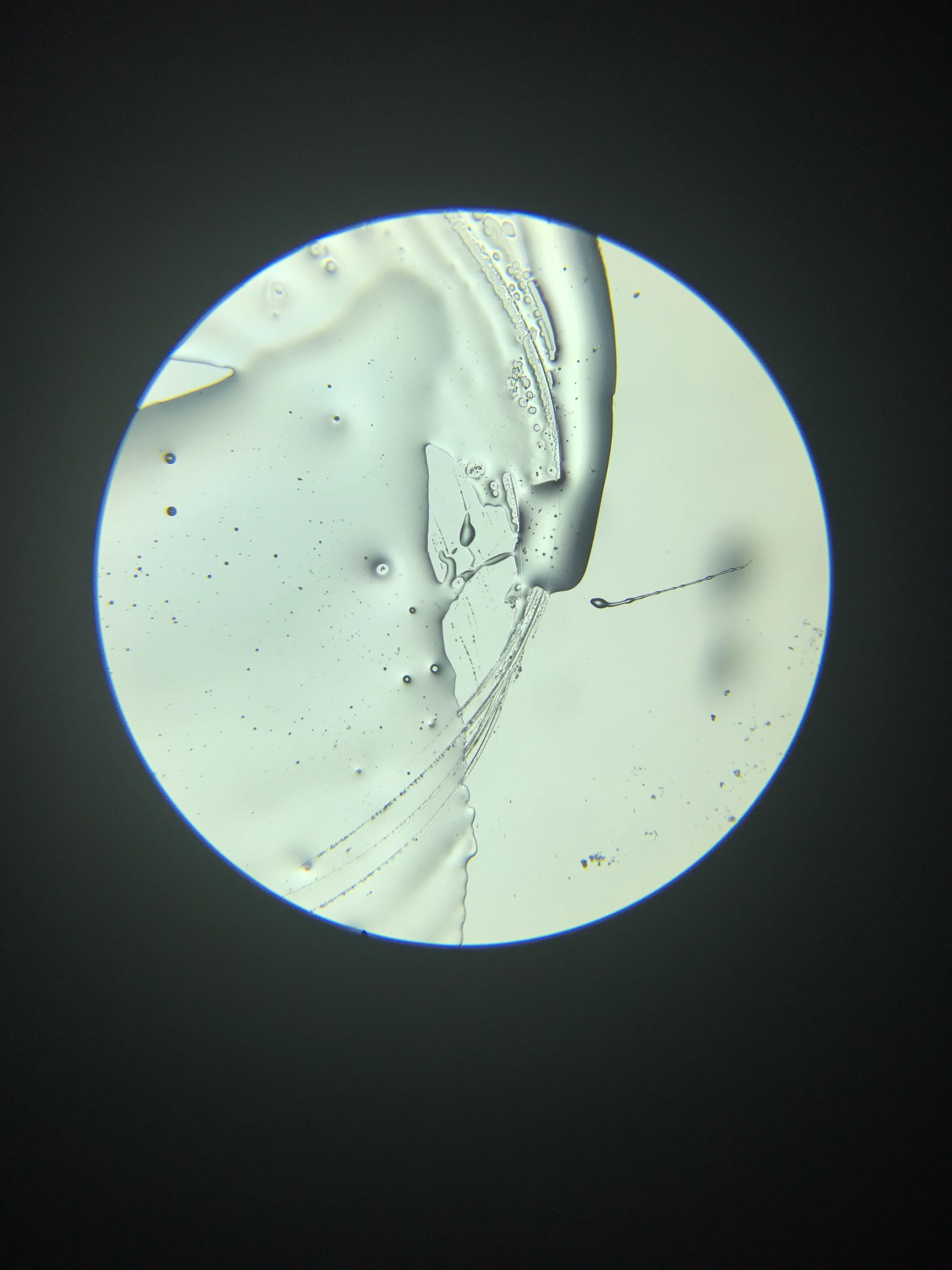 2016-02-05 15.04.22.jpg